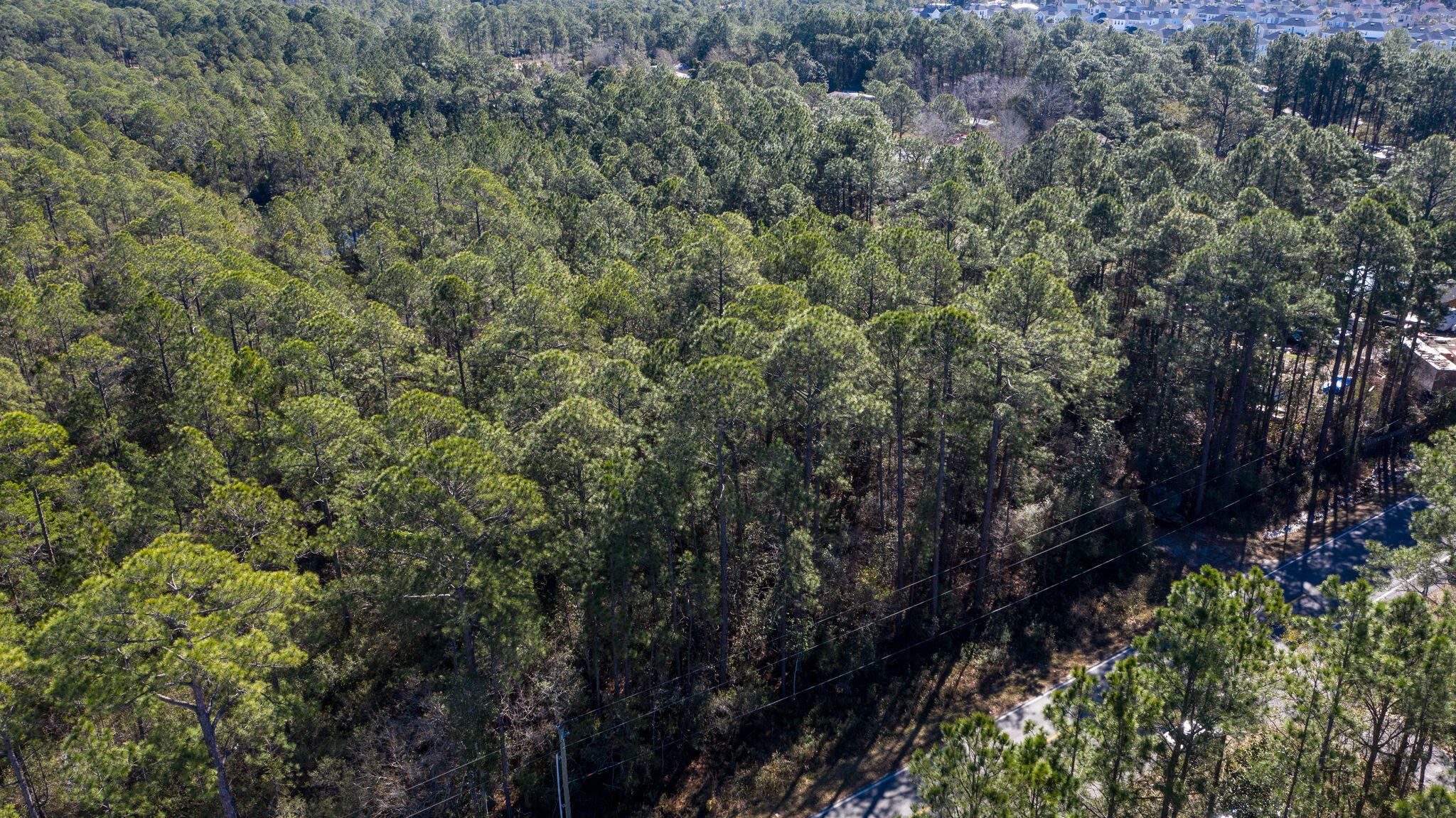 SANTA ROSA PLANTATION - Land