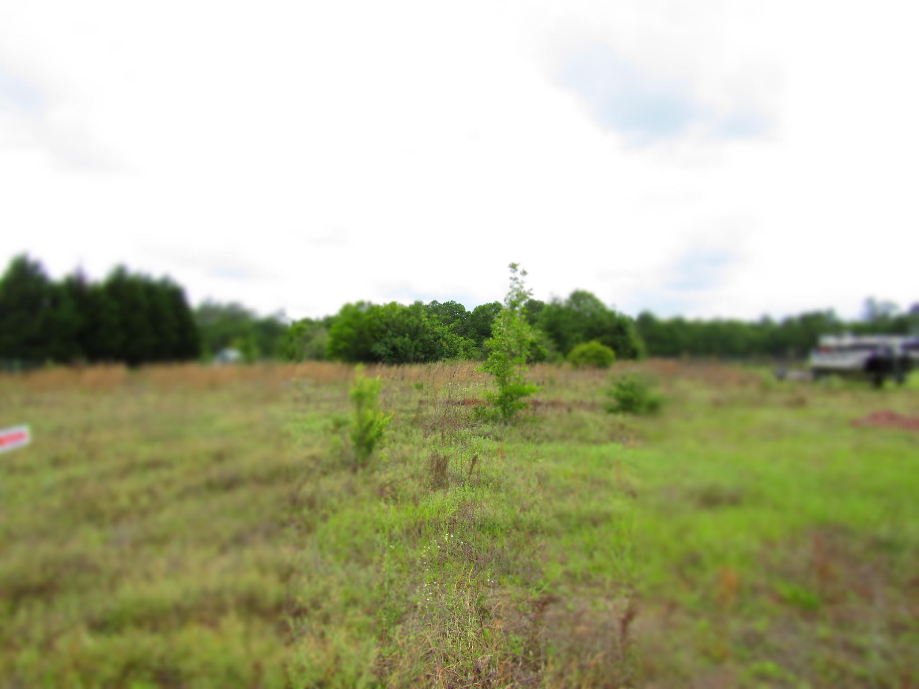 VIRGINIA RIDGE, LOT 22 - Land