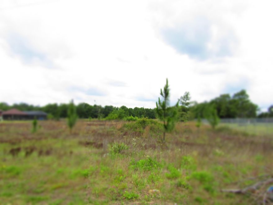 READY TO BUILD YOUR DREAM HOME? THEN TAKE A LOOK AT THIS VERY NICE SUB-DIVISION, JUST A FEW MILES FROM CRESTVIEW, BAKER AND INTERSTATE 10 ATHOLT. LOTS ARE LARGE ENOUGH FOR A POOL, WORKSHOP, BARN, ETC. MINIMUM 2000 SQ FOOT REQUIRED, NO HOMEOWNERS ASSOCIATION! BAKER SCHOOLS. DRIVE BY AND PICK YOUR LOT, THERE ARE 4 TO CHOOSE FROM ALL $25,000. EACH, BUT ALL 4 FOR $80,000. I HAVE A SMALL SIGN ON EACH LOT.