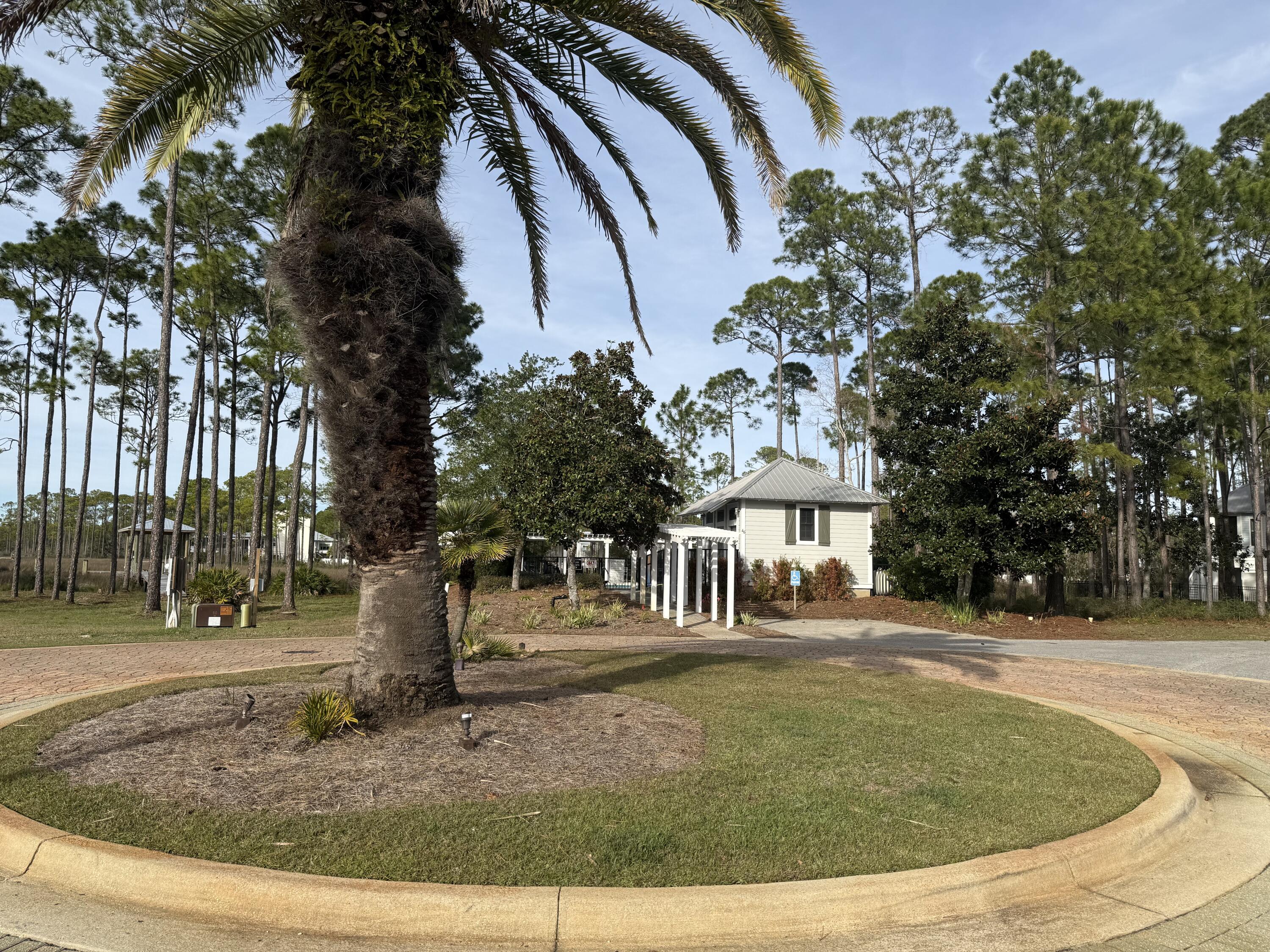 CESSNA LANDING - Land