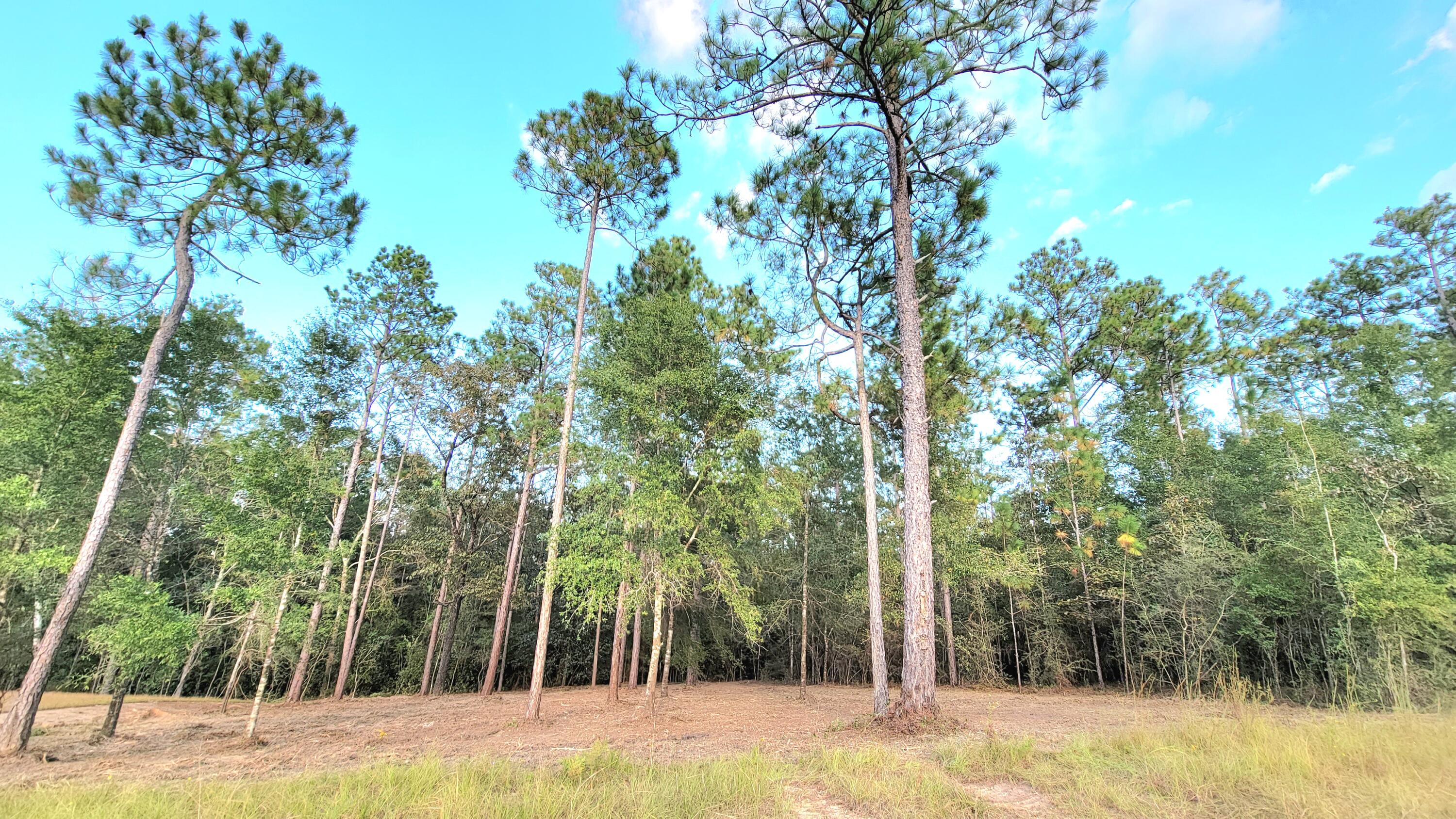 Bring your house plans to build on this .55 acre lot in Heritage Plantation! There is also a a large wooded area directly behind that is owned by the HOA that adds more privacy. The lot is semi-cleared with very nice hardwoods still left. The sunsets are amazing in this neighborhood and there are gorgeous ponds throughout with sidewalks to enjoy a nice morning or afternoon walk. Be sure to reach out for more questions!