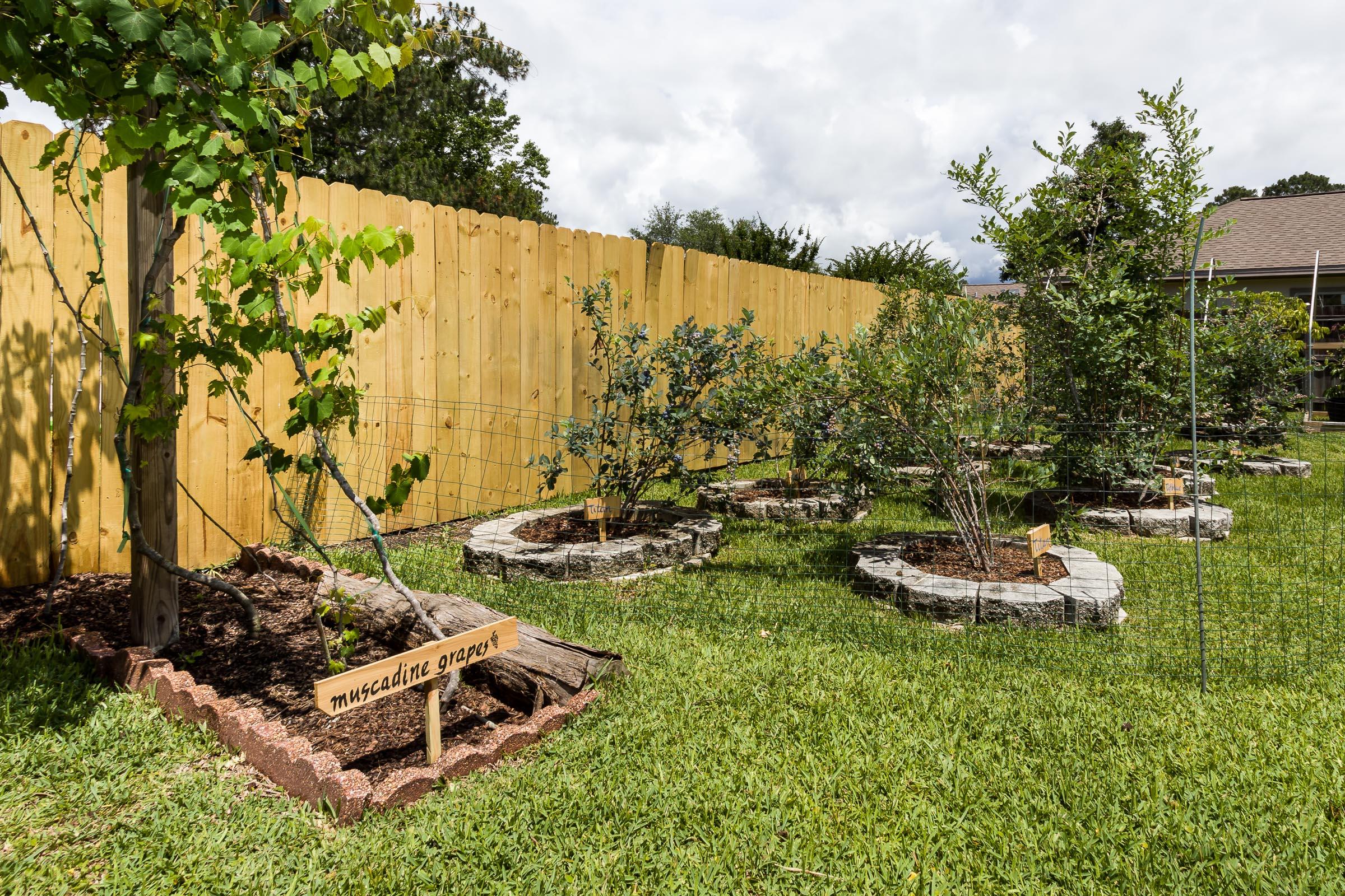 PINEDALE 1ST ADDN - Residential