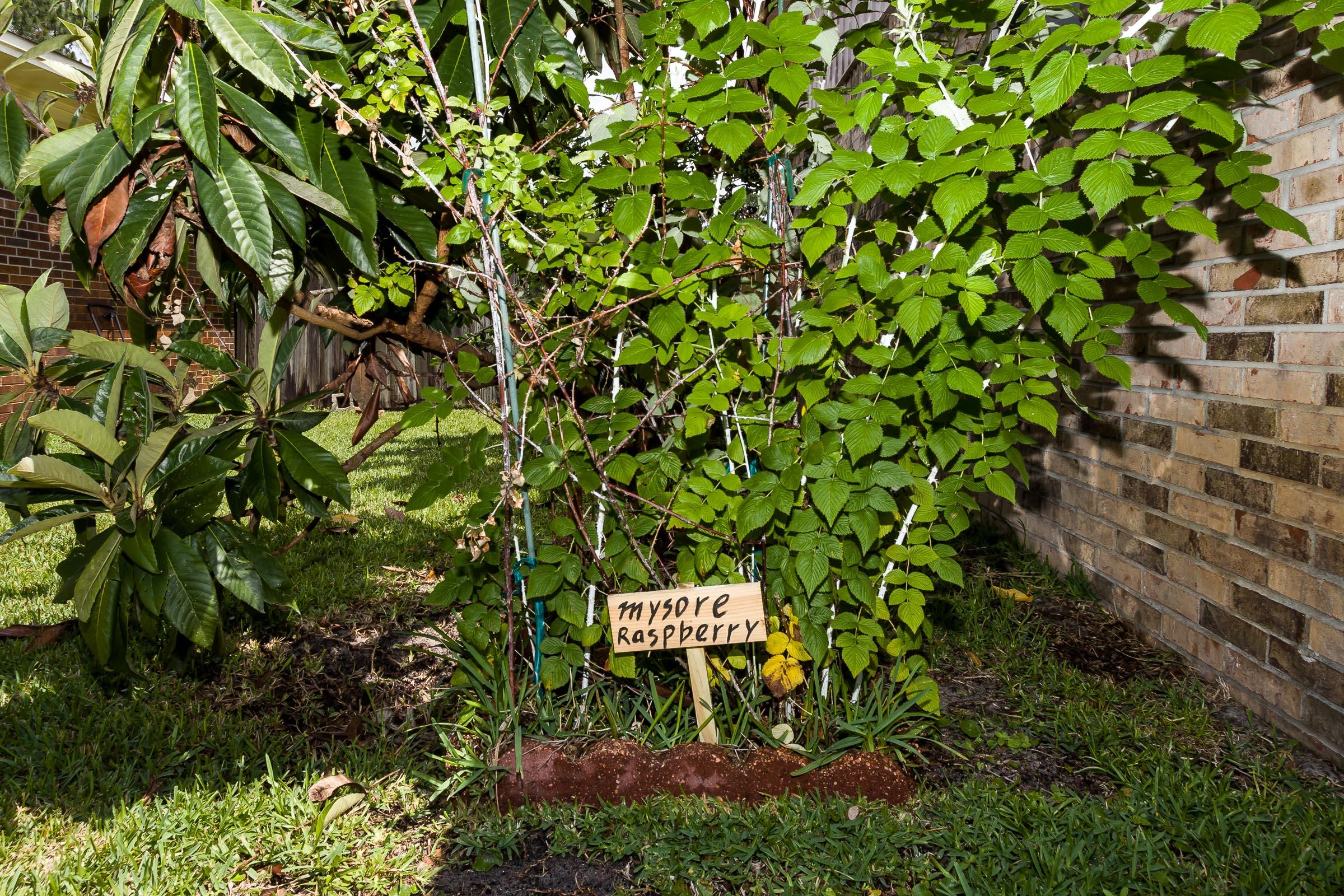 PINEDALE 1ST ADDN - Residential