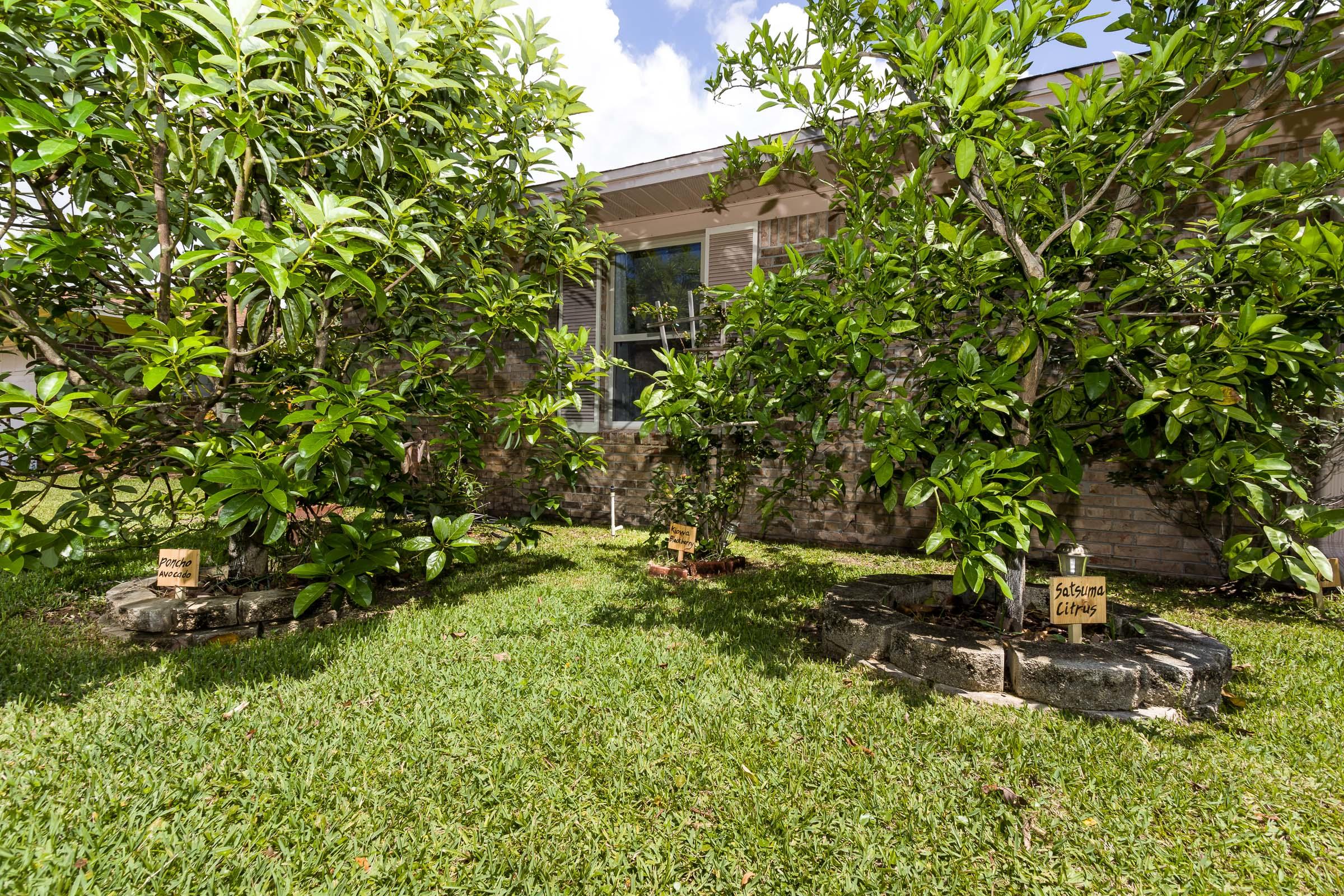 PINEDALE 1ST ADDN - Residential