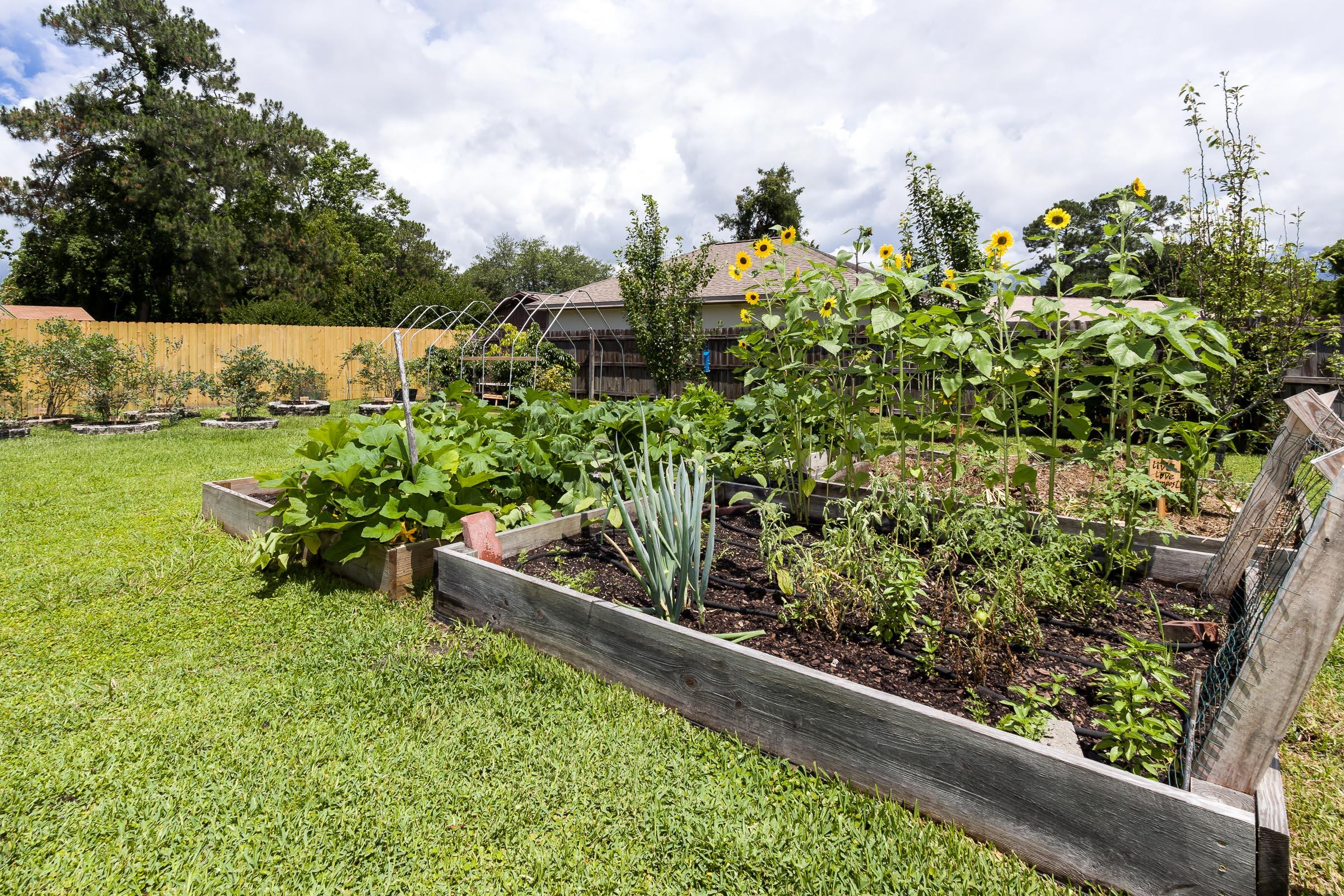 PINEDALE 1ST ADDN - Residential