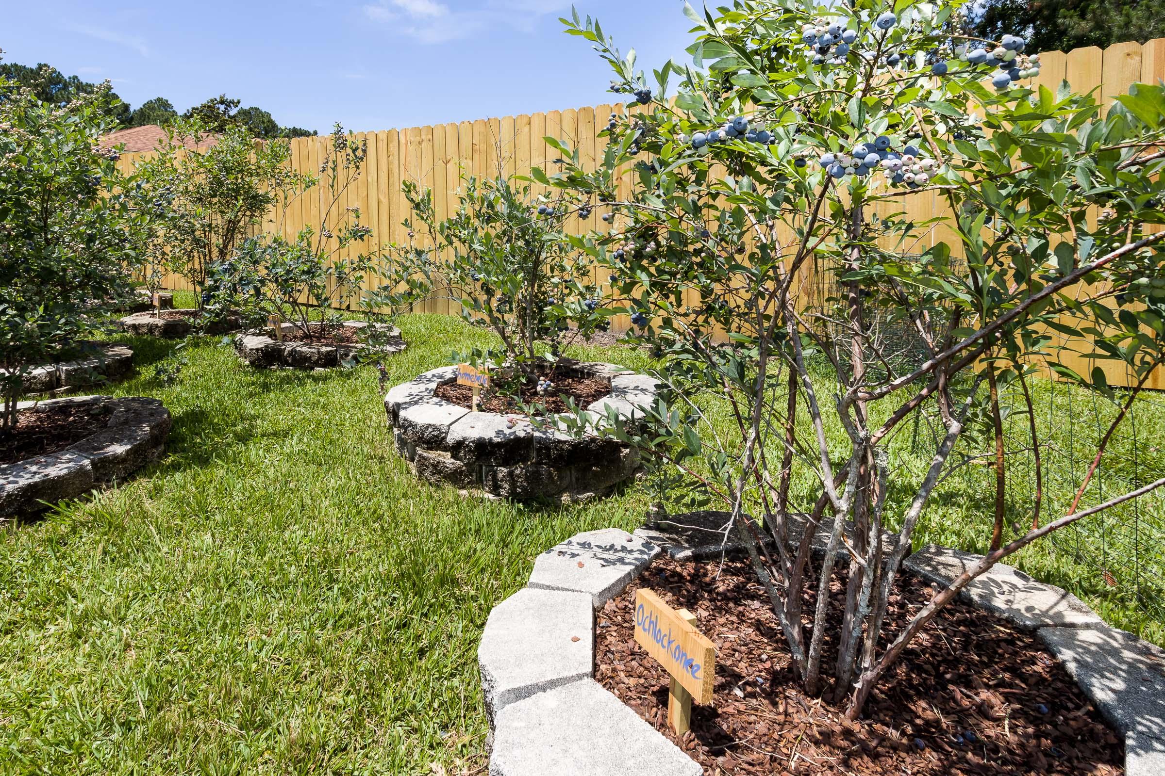 PINEDALE 1ST ADDN - Residential