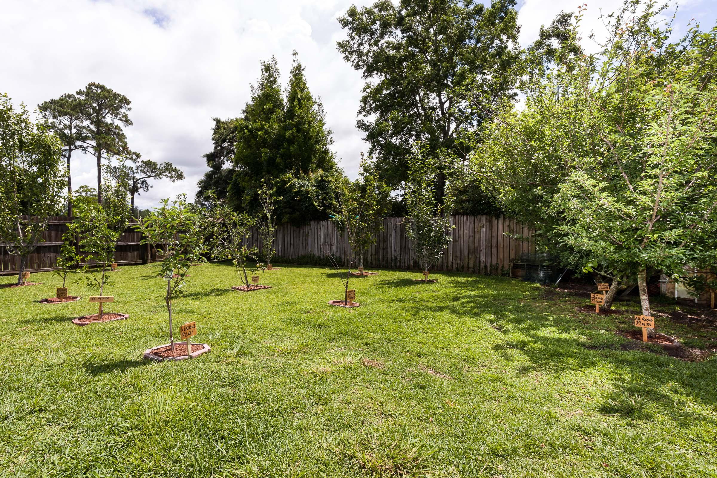 PINEDALE 1ST ADDN - Residential