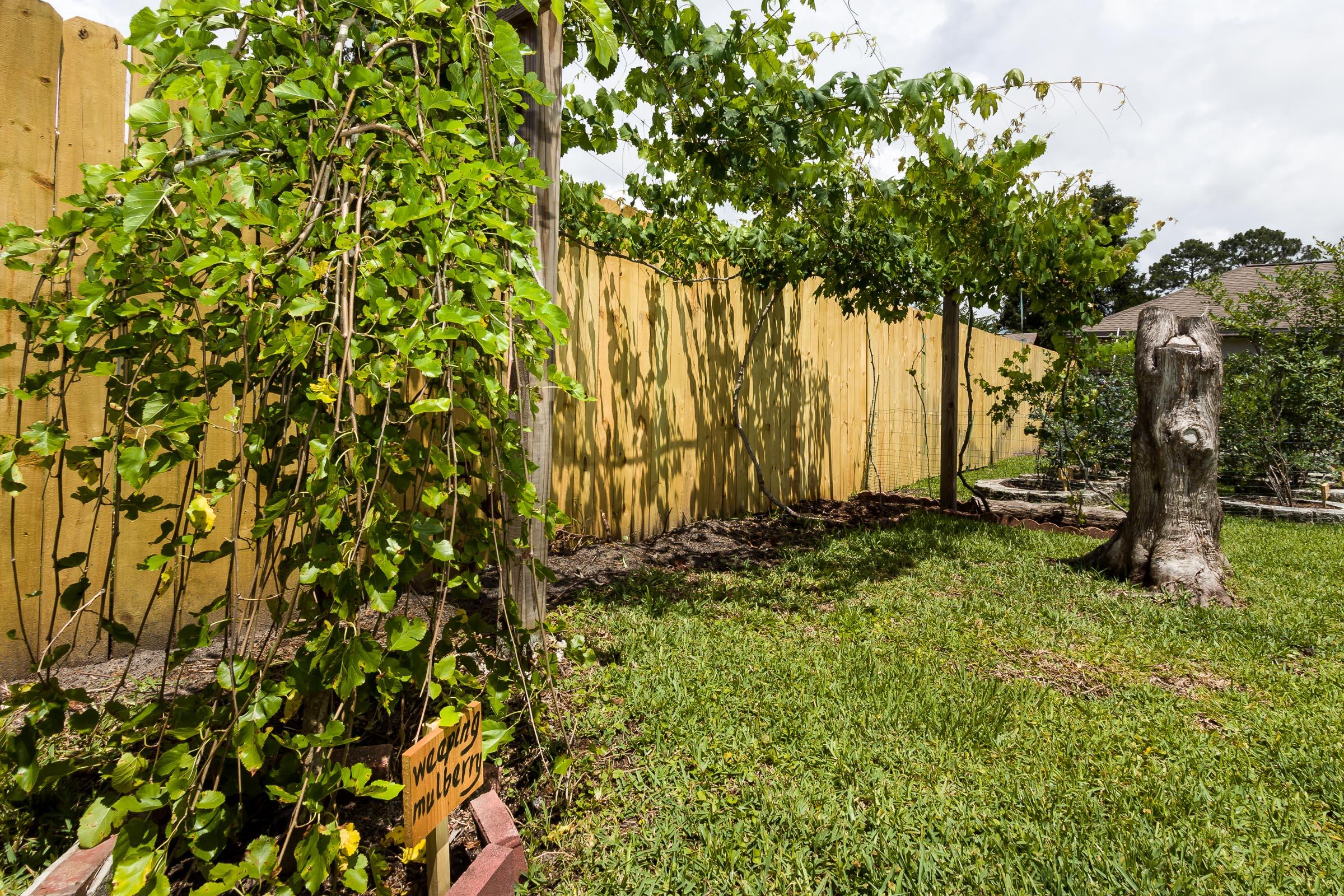 PINEDALE 1ST ADDN - Residential