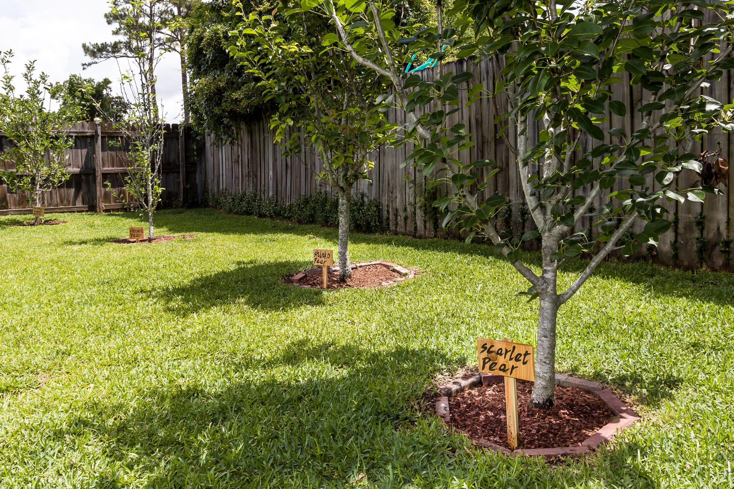 PINEDALE 1ST ADDN - Residential