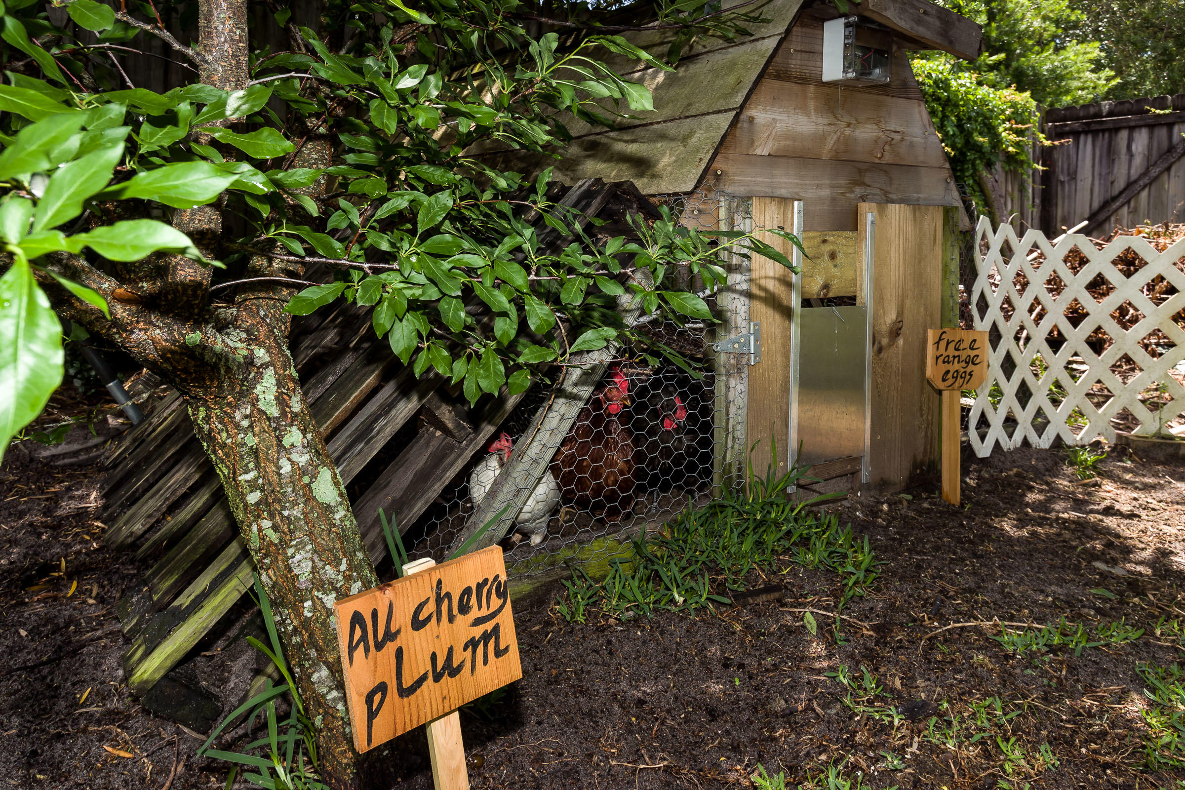 PINEDALE 1ST ADDN - Residential