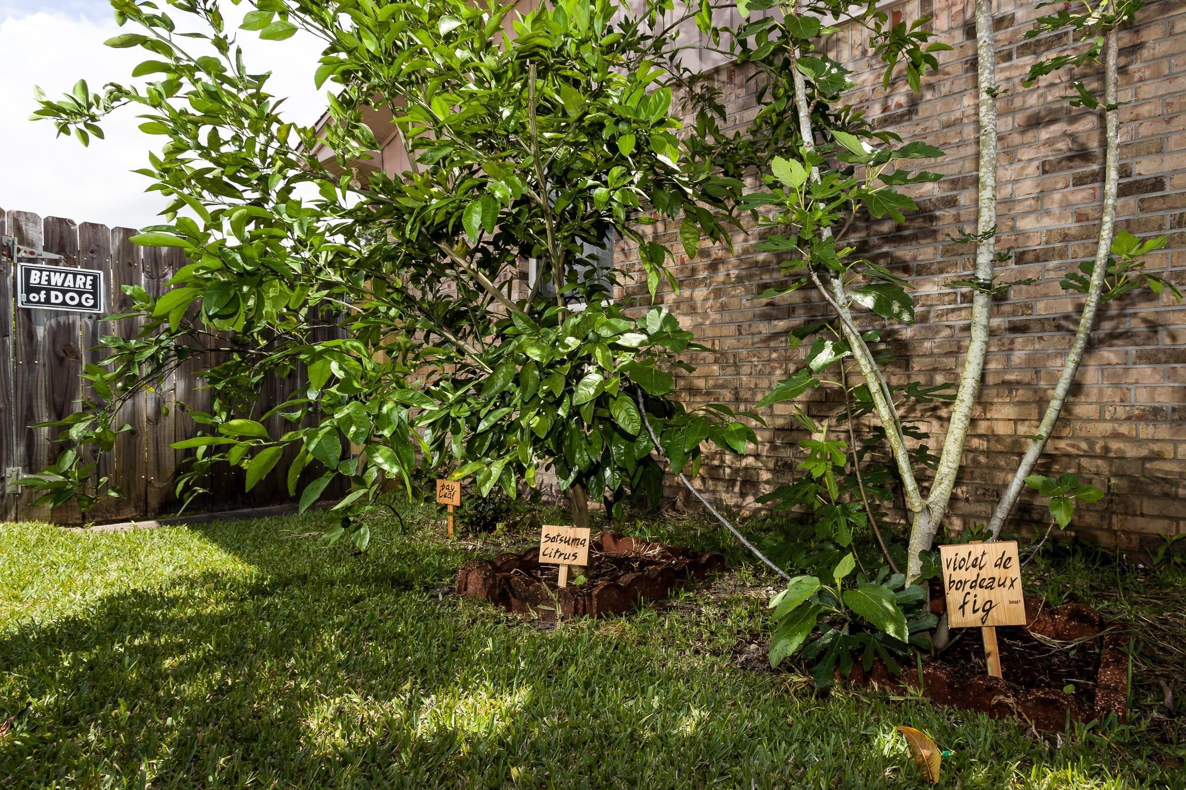 PINEDALE 1ST ADDN - Residential