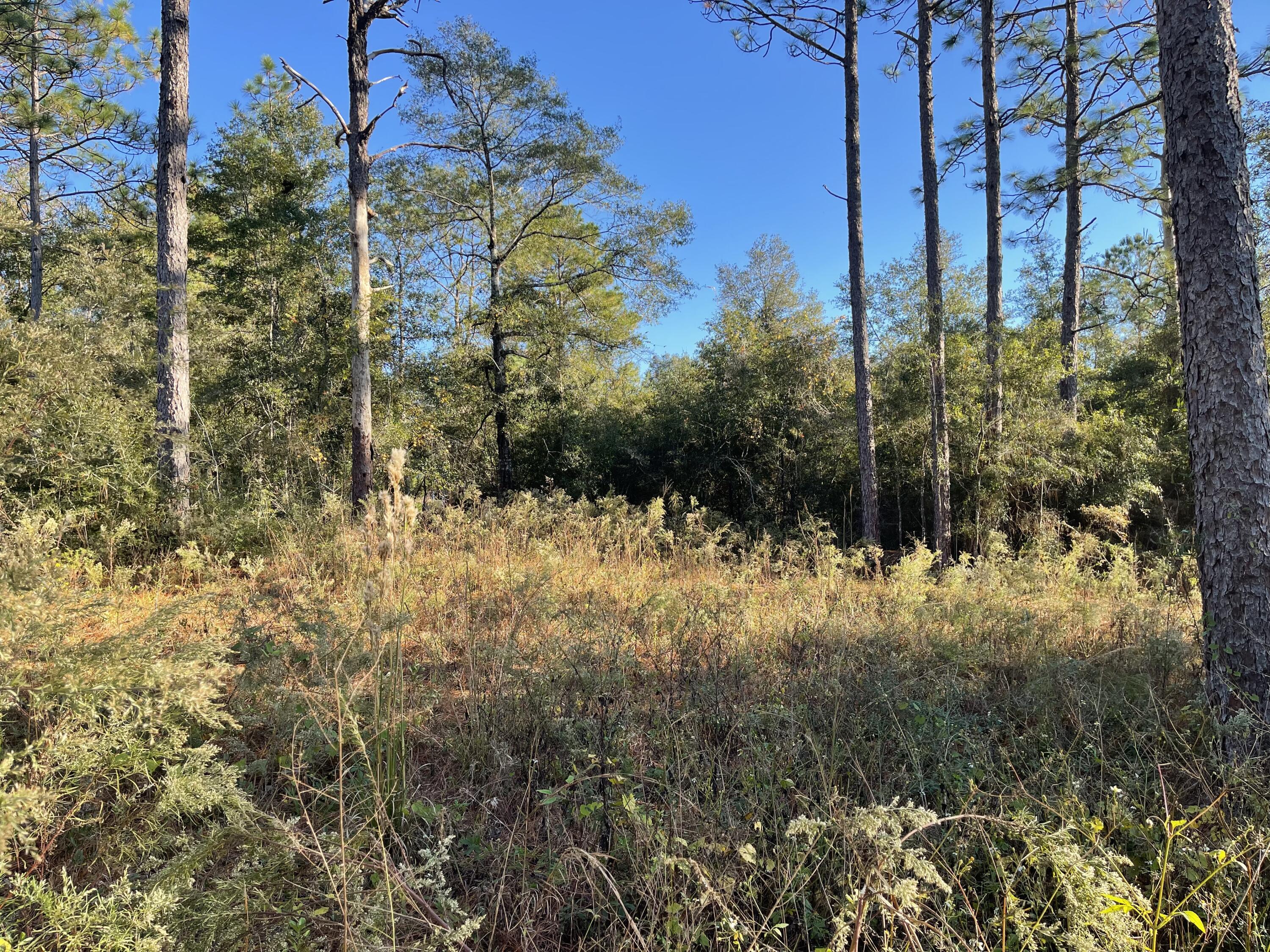 Blake Heights S/D - Land