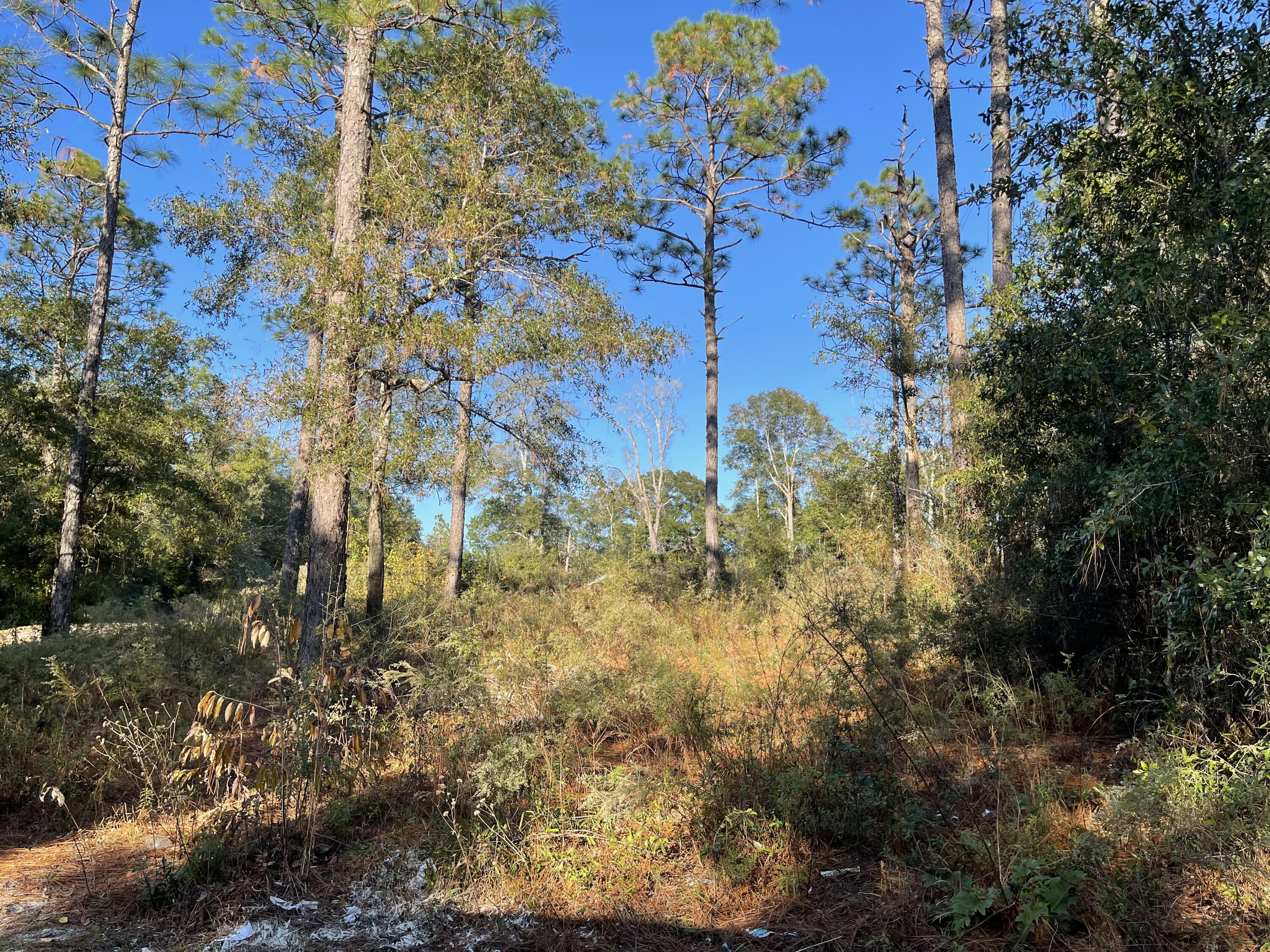 Blake Heights S/D - Land