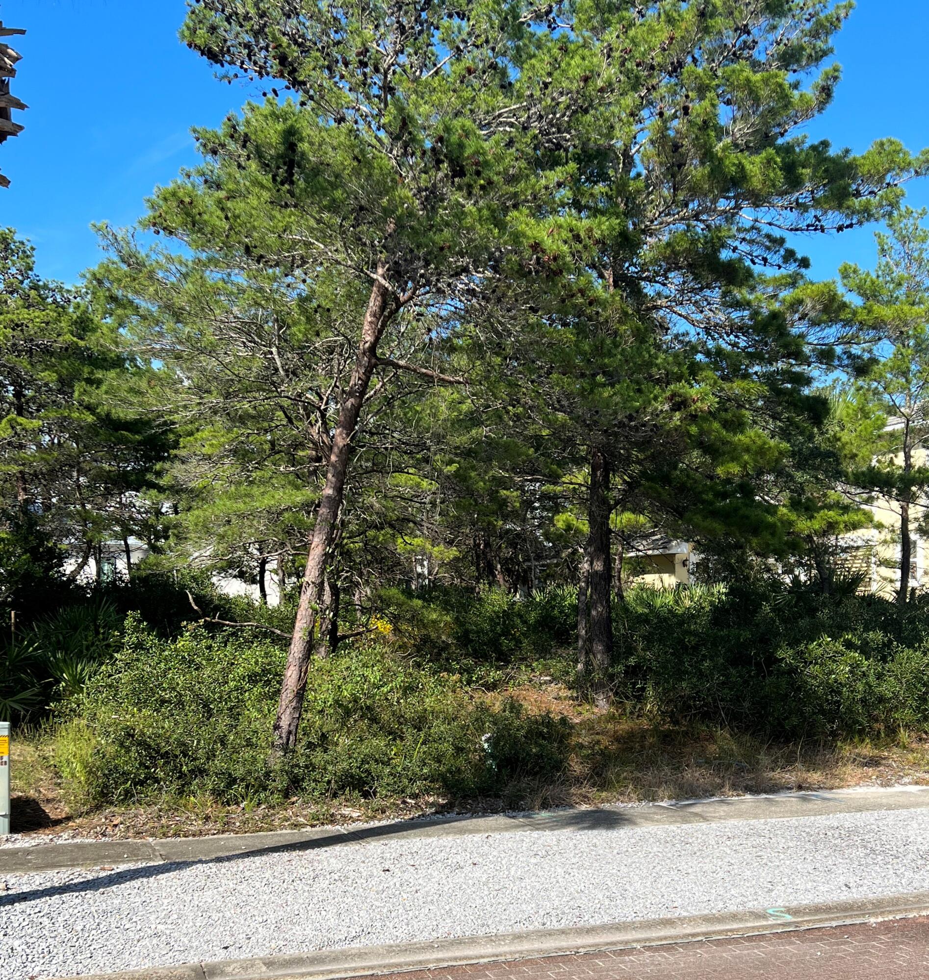 VILLAGE OF WHITE CLIFFS - Land