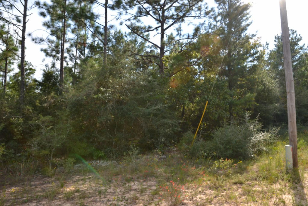 YELLOW BLUFF ESTATES - Land