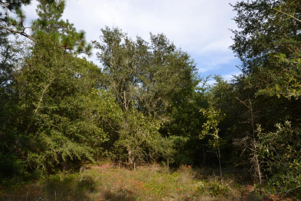 YELLOW BLUFF ESTATES - Land