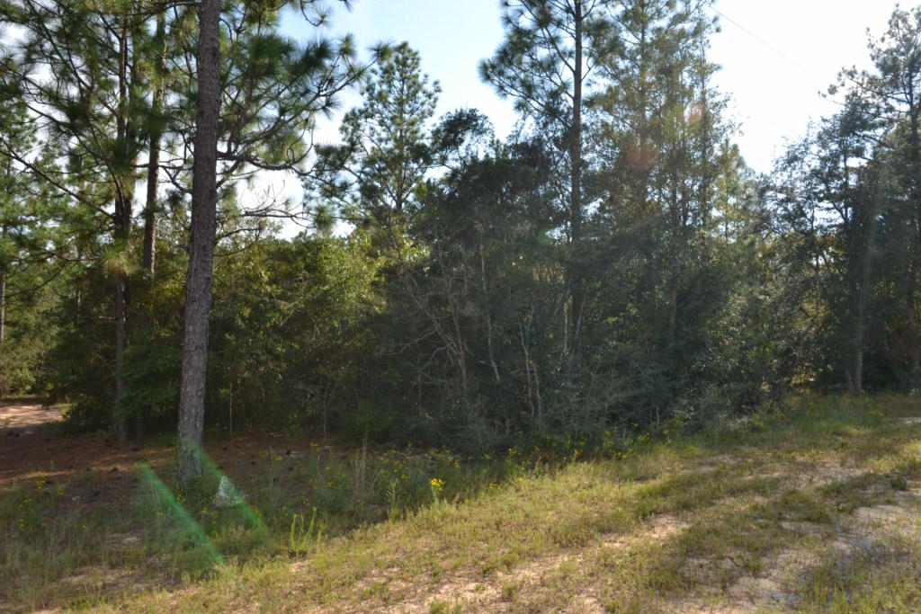 YELLOW BLUFF ESTATES - Land