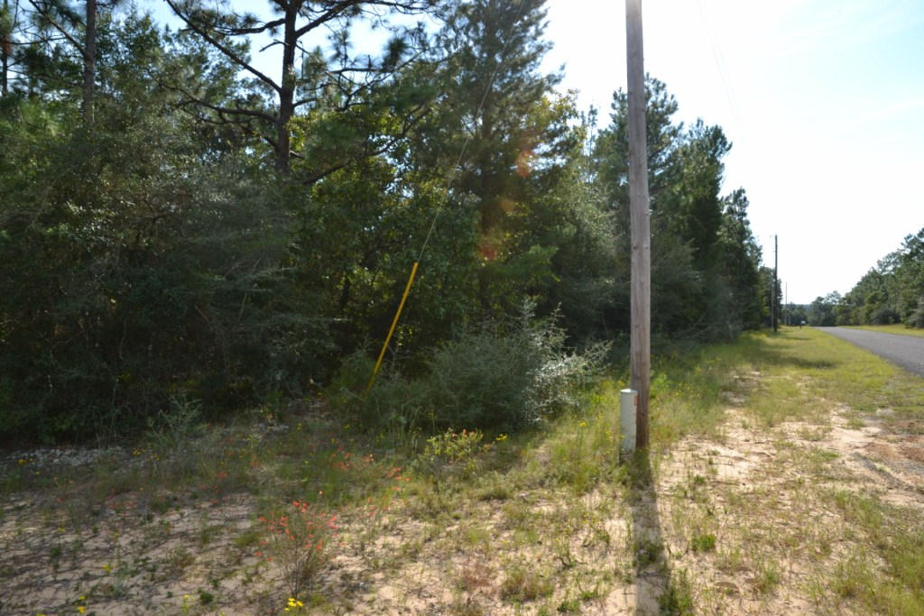 YELLOW BLUFF ESTATES - Land