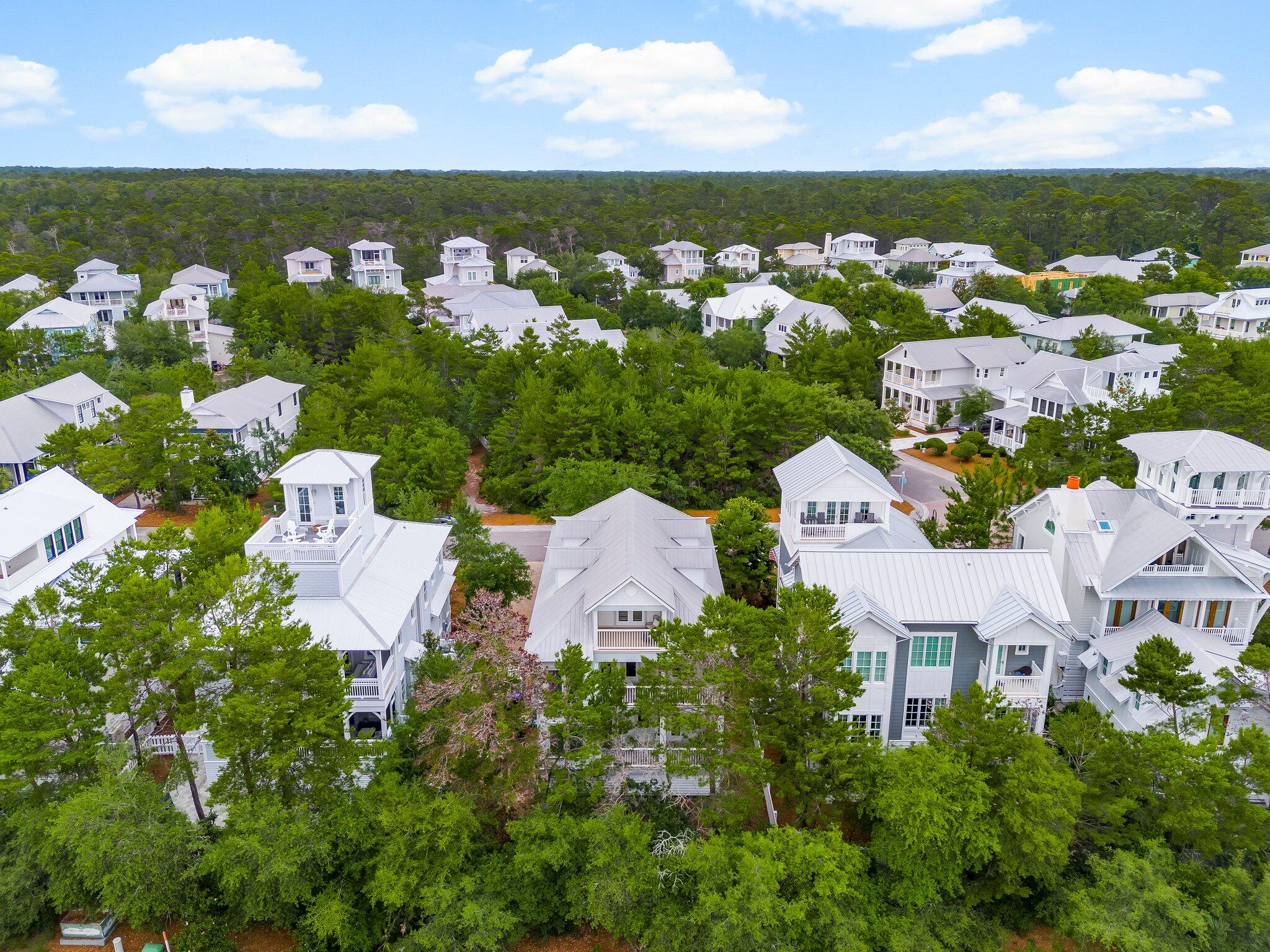 THE PRESERVE AT GRAYTON BEACH - Residential