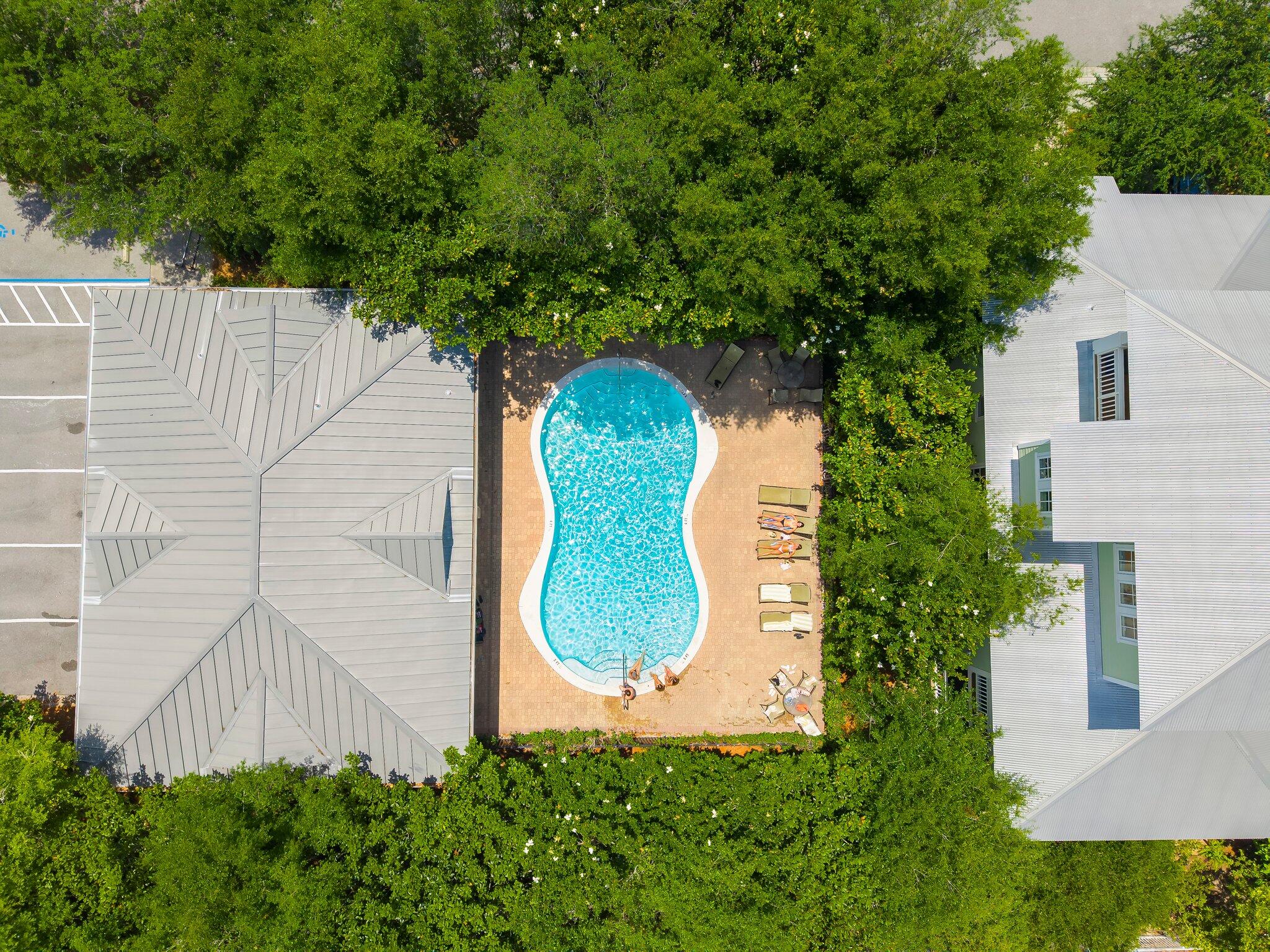 THE PRESERVE AT GRAYTON BEACH - Residential