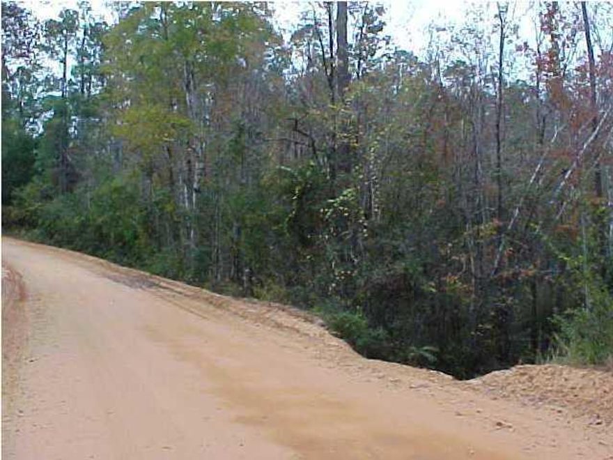 Just minutes from town .988 acre lot to build your new home~ Manufactured homes are allowed~