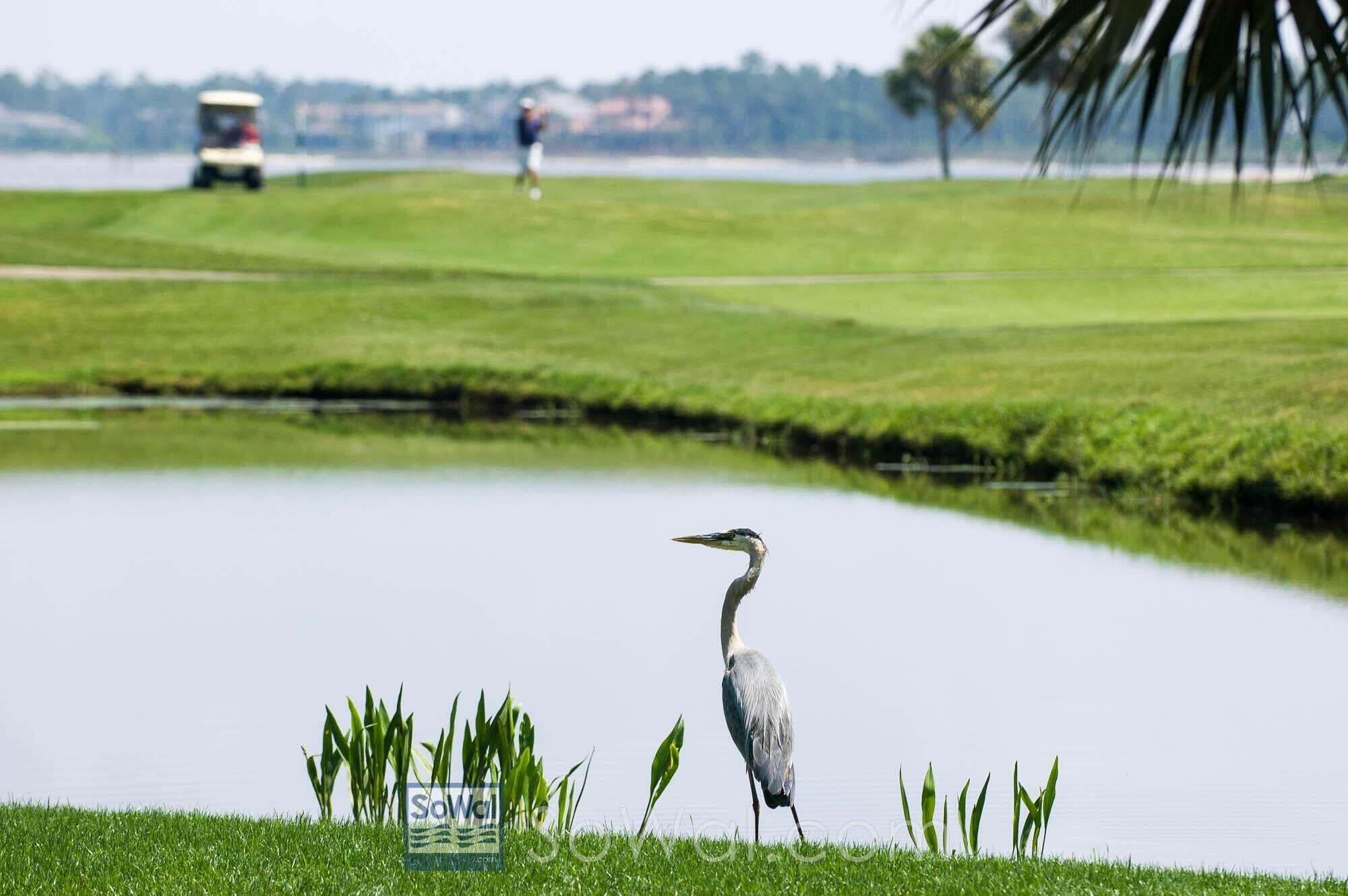 SANDPIPER VILLAGE CONDO - Residential
