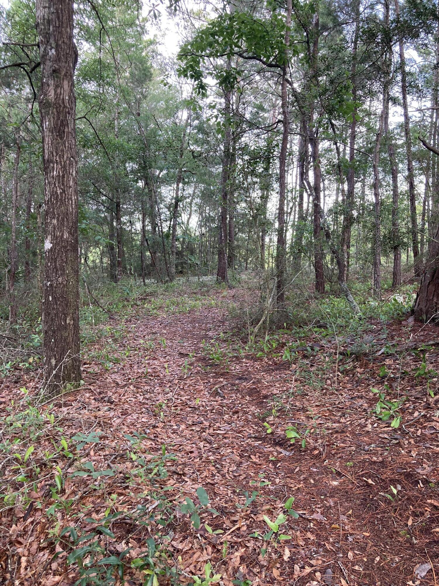 This beautiful half acre lot of raw land is located at the end of a cul-de-sac. Giving you that country life style feel and is located only 15 minutes from downtown Defuniak Springs with all your local grocery and shopping centers. Emerald Coasts most beautiful beaches are only an hour away. So bring your building plans or bring your mobile home!! Property is high and dry flood zone X. No utilities, septic and well needed, power at Ponderosa Blvd.