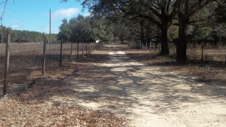 Home and other buildings have little or no value. They all sit on 9.79 acres which are mostly cleared and sectioned off. There are water spigots in several areas. There is an existing well and septic system but will not be brought up to date. That will be for the buyer to do. Also buyer to verify acreage and lot dimensions. Great for camping and a get away spot.