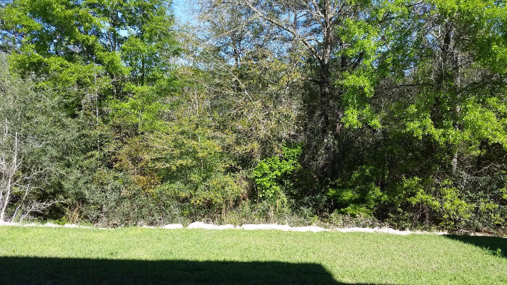 Cottages at Sandy Ridge - Residential