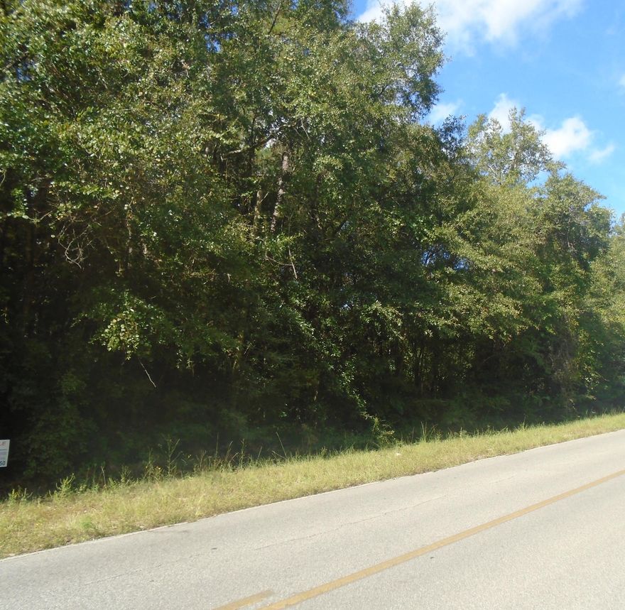 3.74 wooded acres located on a paved road. The front NW portion of the property appears to be uplands to make a great homesite. According to the plat, a creek runs through the property in the back 1/3. According to the Seller, there is a new septic tank and drain field that has never been used. Excellent opportunity to own a large tract of land in Crestview.