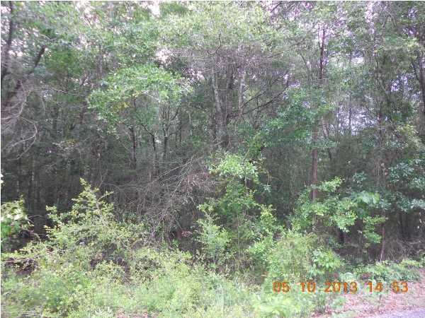 HOLLEY FAMILY PH 2 - Land