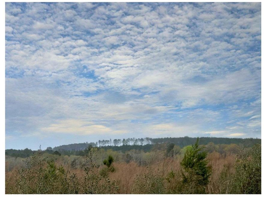 Dream Location for Country Living or Hunters Paradise, either way you won't want to miss this opportunity! This Beautiful 14.89 +/- AC property has so much to offer. High and Dry, paved road with access to power. Turkey season coming soon! This beautiful location could be your forever home. Bring your build plans, hunting gear, Horses and ATVS. Convenient location to the Florida /Alabama Stateline with easy access to County Hwy 181 W and Hwy 83.