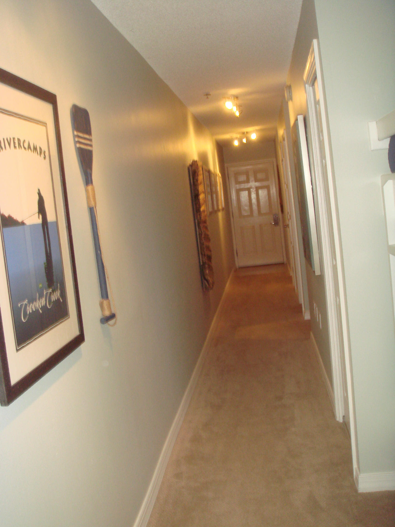 GULF PLACE CARIBBEAN CONDO - Residential