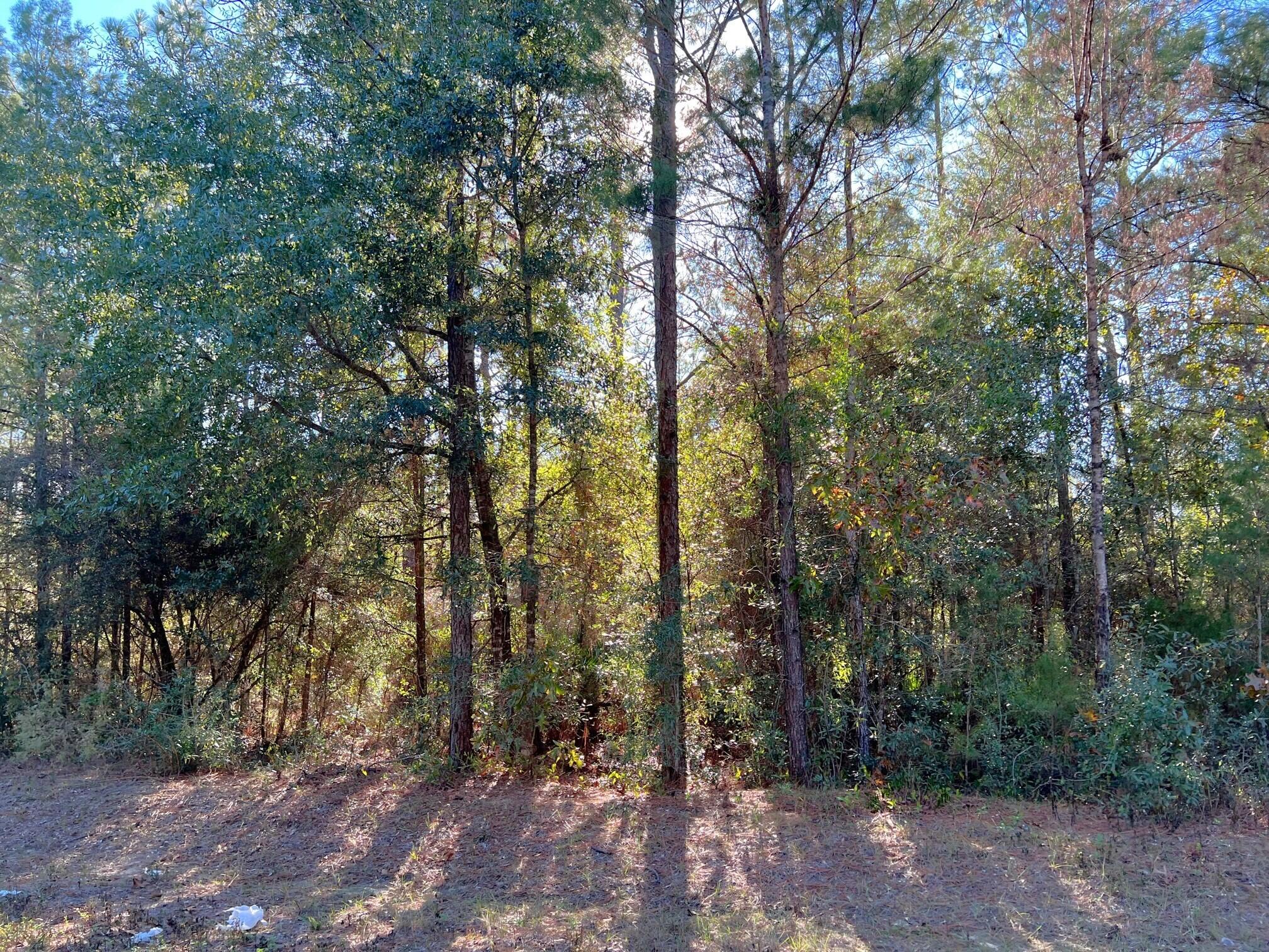 OAKWOOD HILLS UNIT 1 - Land