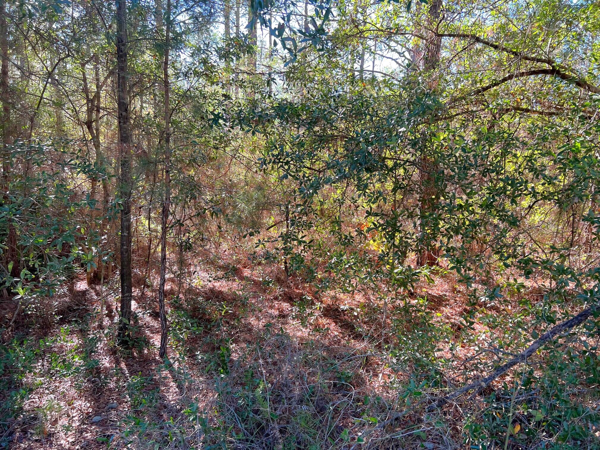 OAKWOOD HILLS UNIT 1 - Land