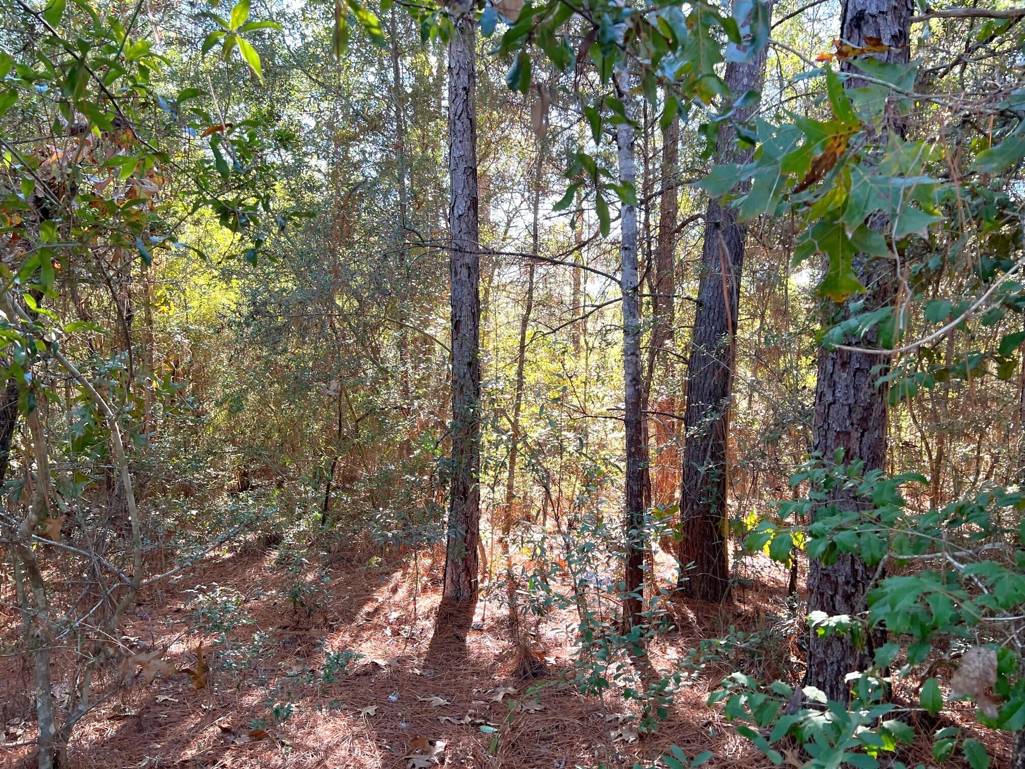 OAKWOOD HILLS UNIT 1 - Land