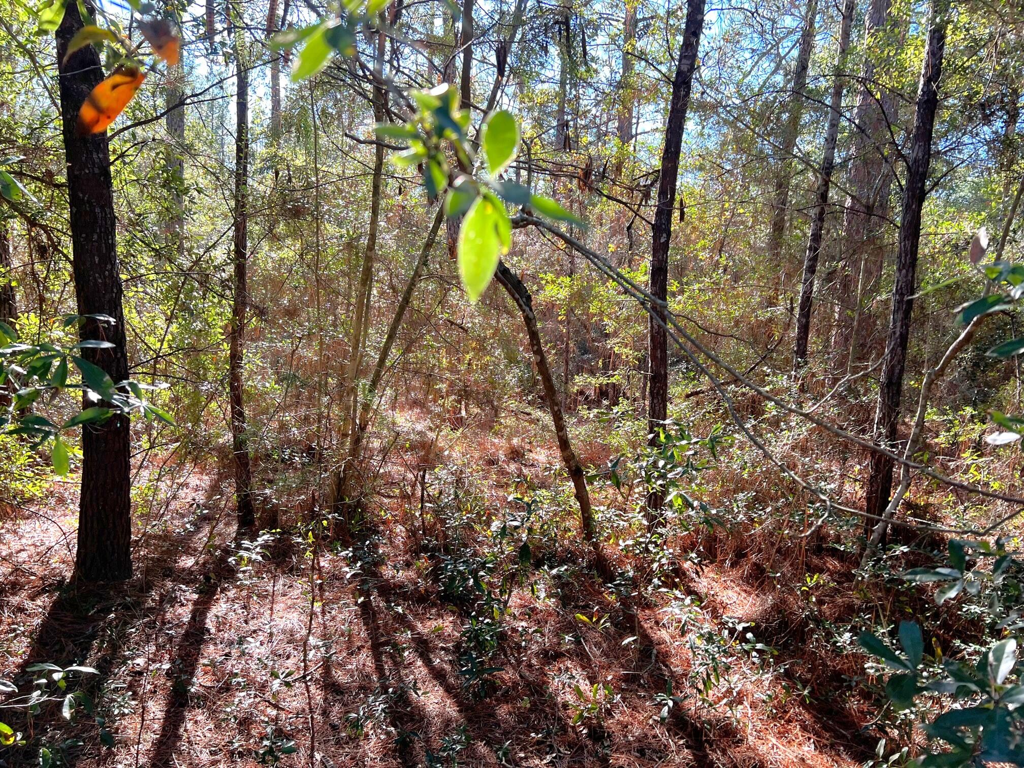 OAKWOOD HILLS UNIT 1 - Land