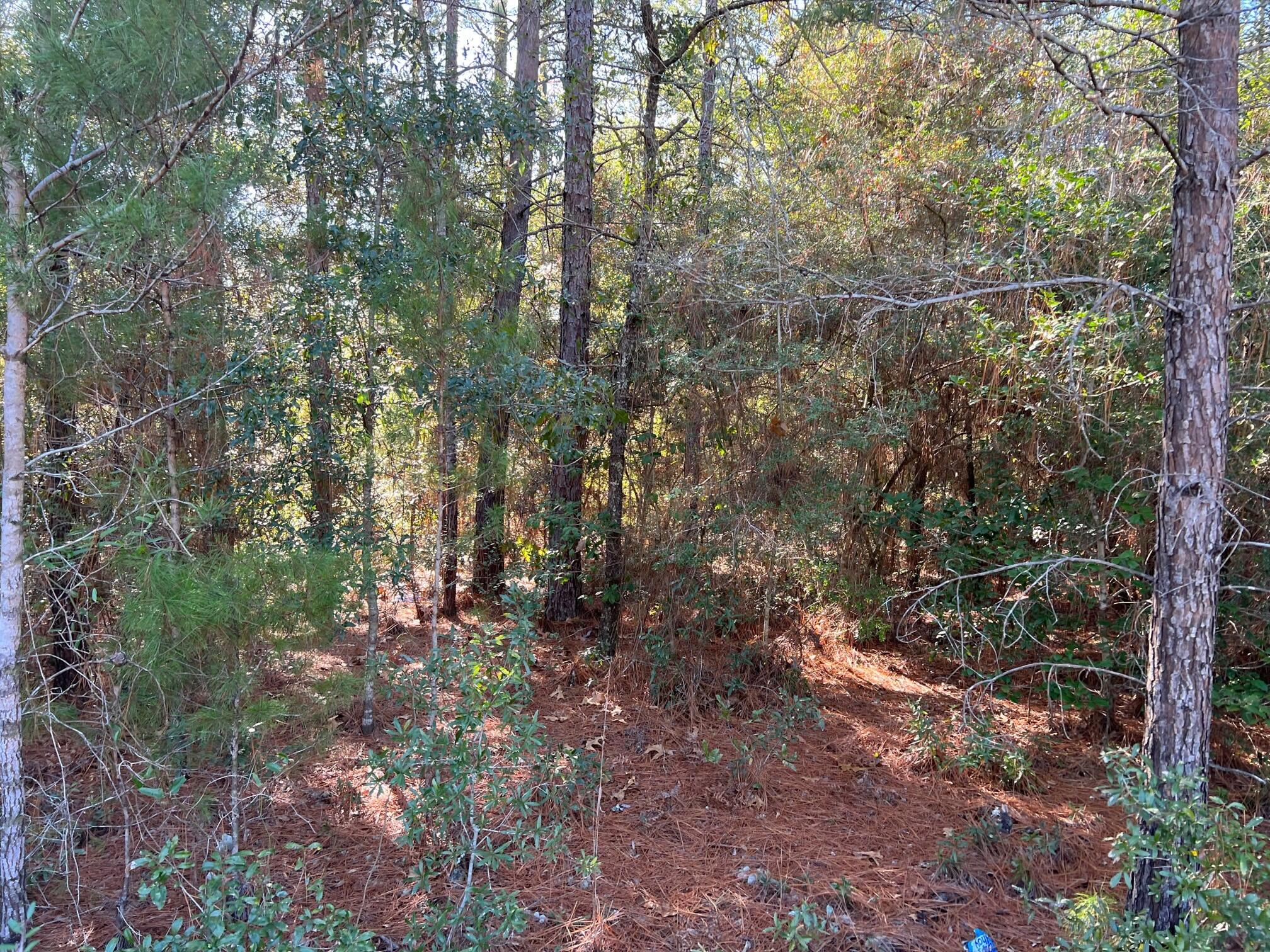 OAKWOOD HILLS UNIT 1 - Land