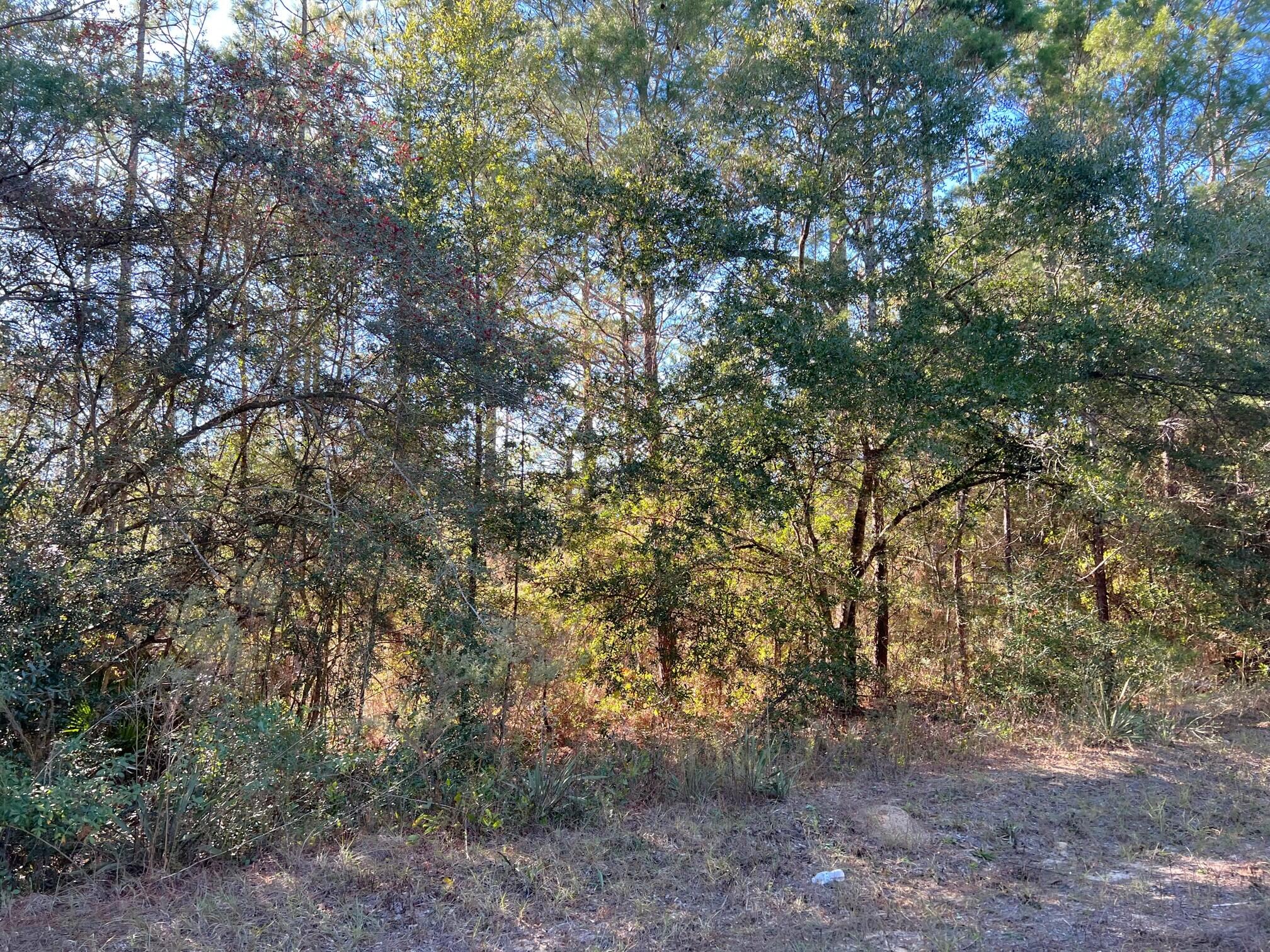 OAKWOOD HILLS UNIT 1 - Land