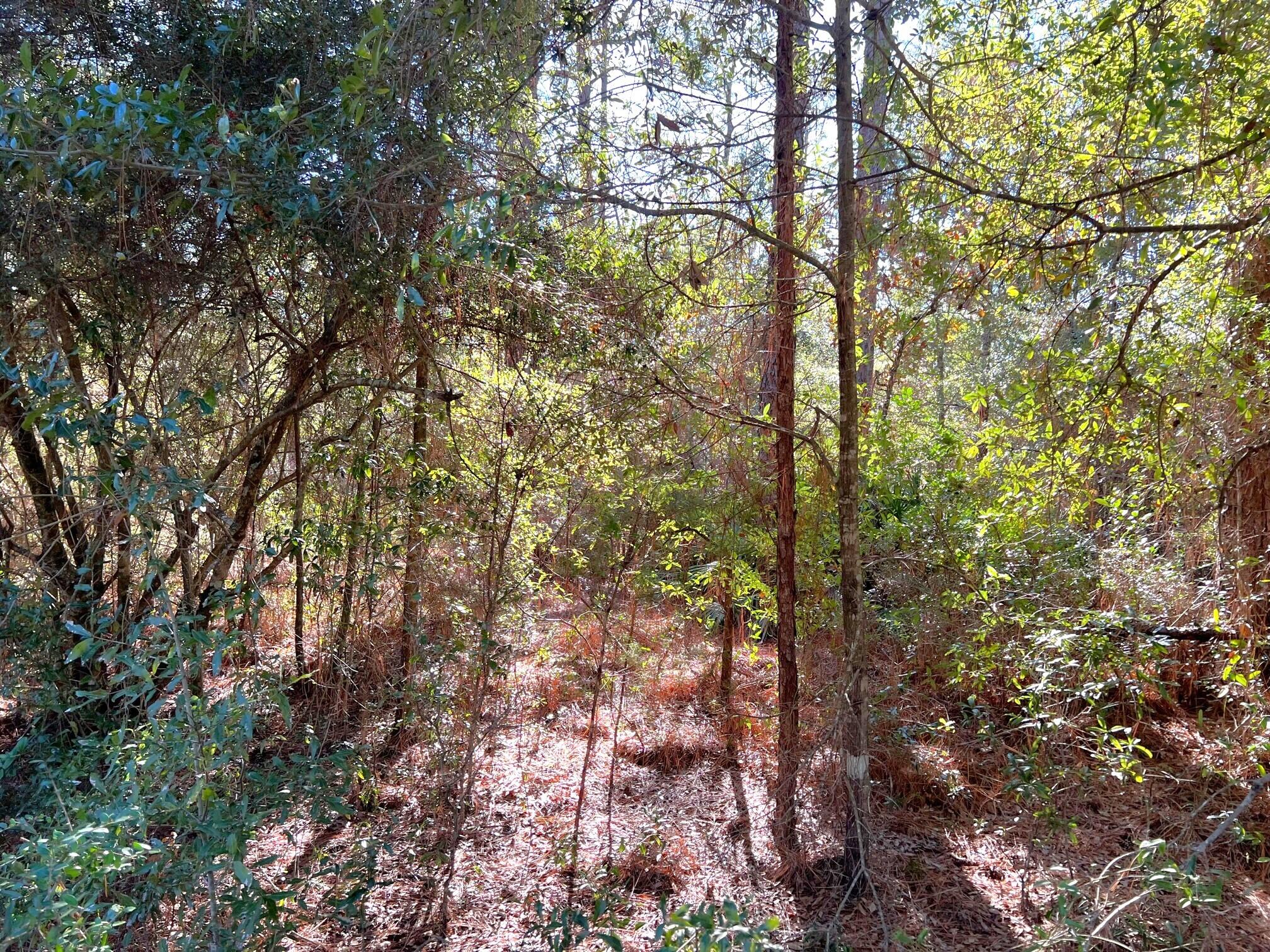 OAKWOOD HILLS UNIT 1 - Land