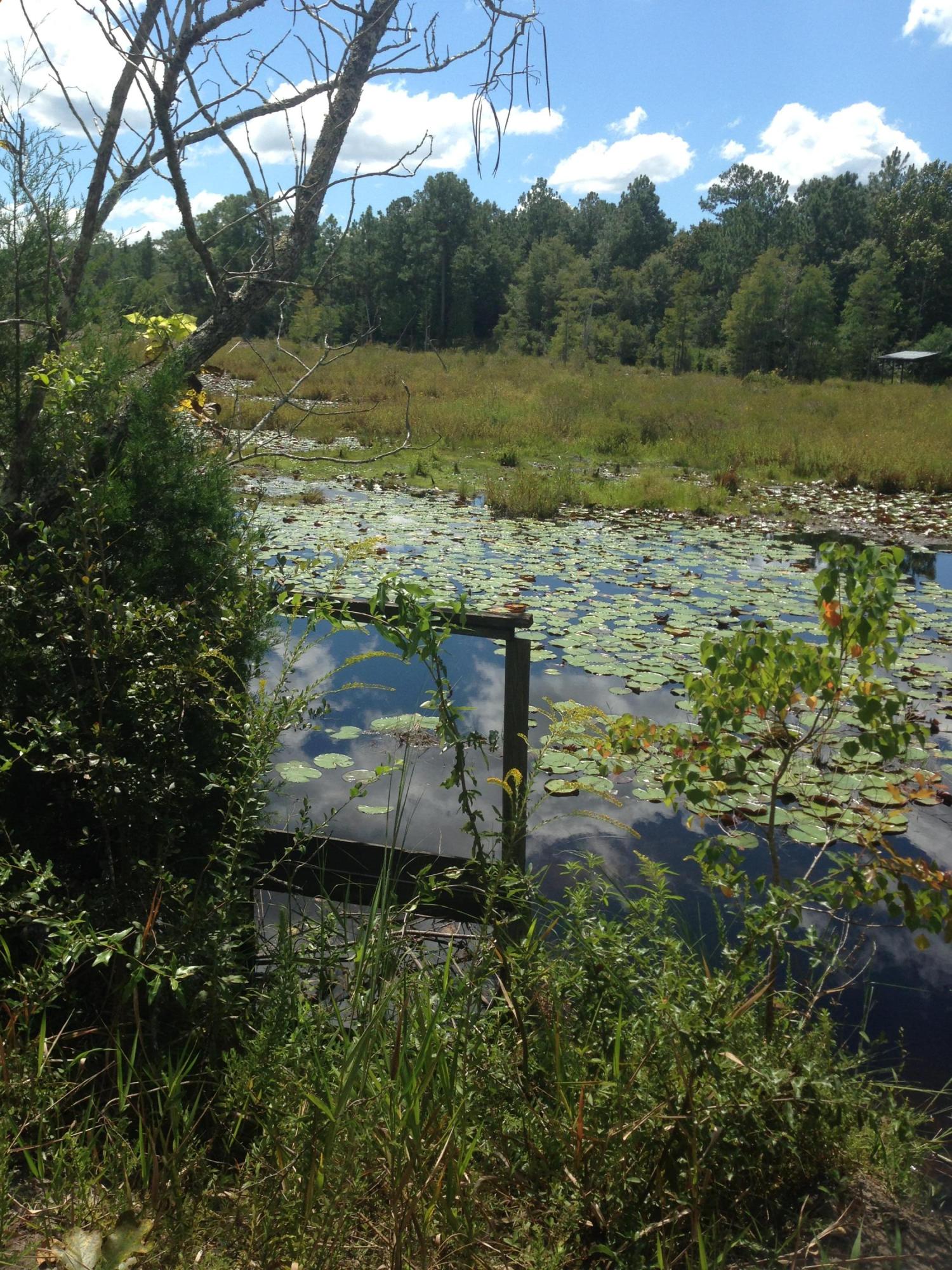 JUNIPER HILLS UNIT 1 - Residential