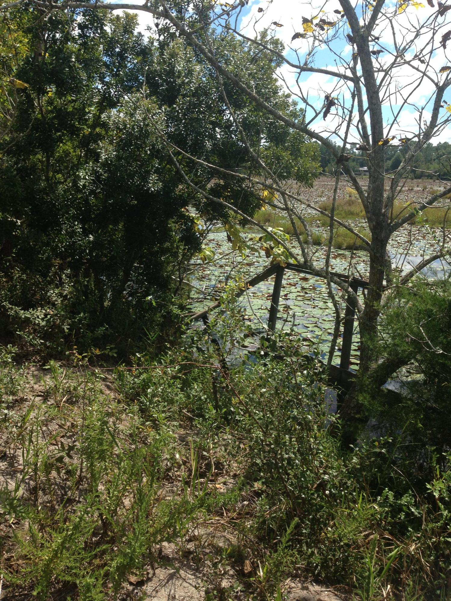 JUNIPER HILLS UNIT 1 - Residential