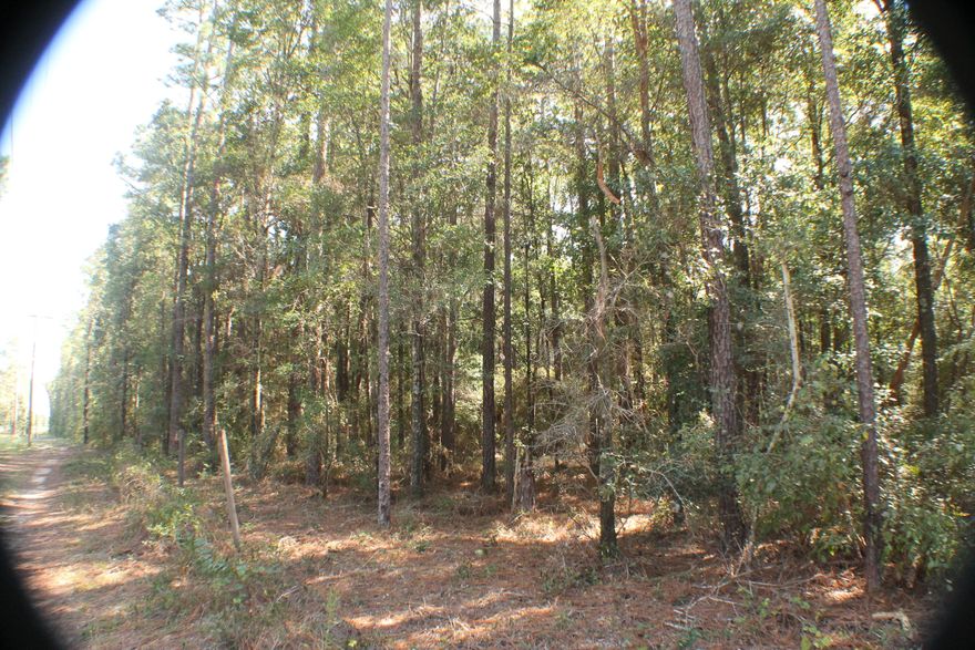 Beautiful hardwoods, large level homesite with highway frontage! Possible commercial use. The county will allow agricultural related business in Agricultural zoning on Hwy 90.