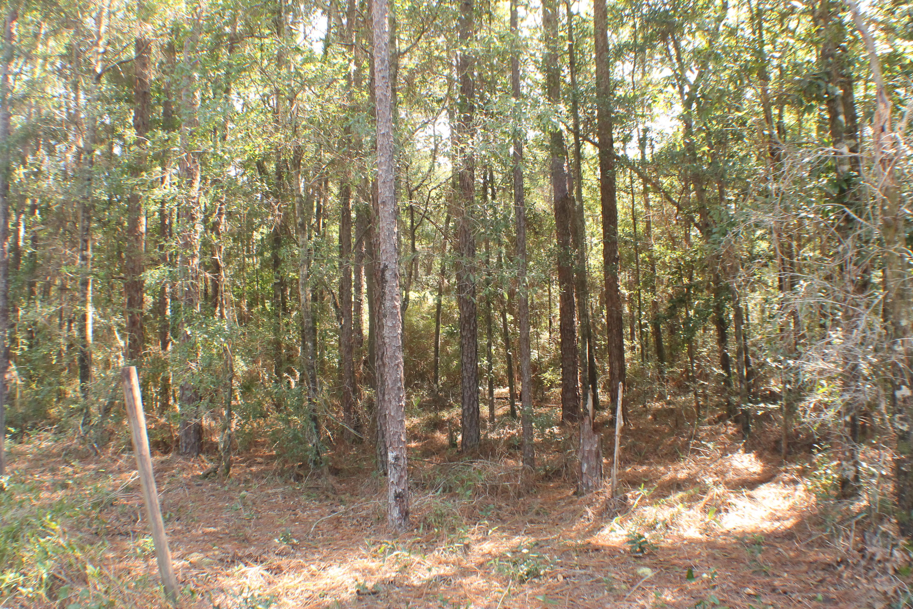 METES & BOUNDS - Land