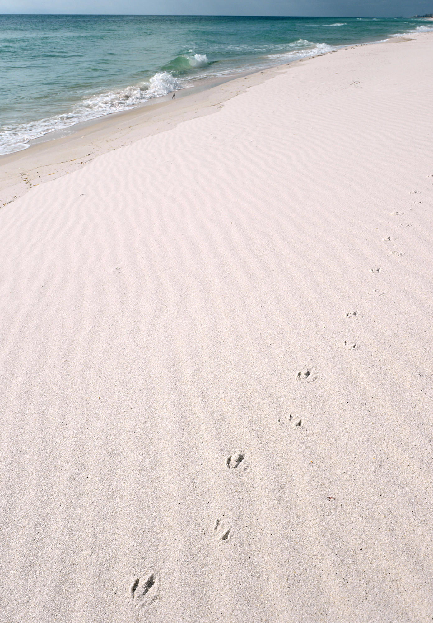 PINNACLE PORT - Residential