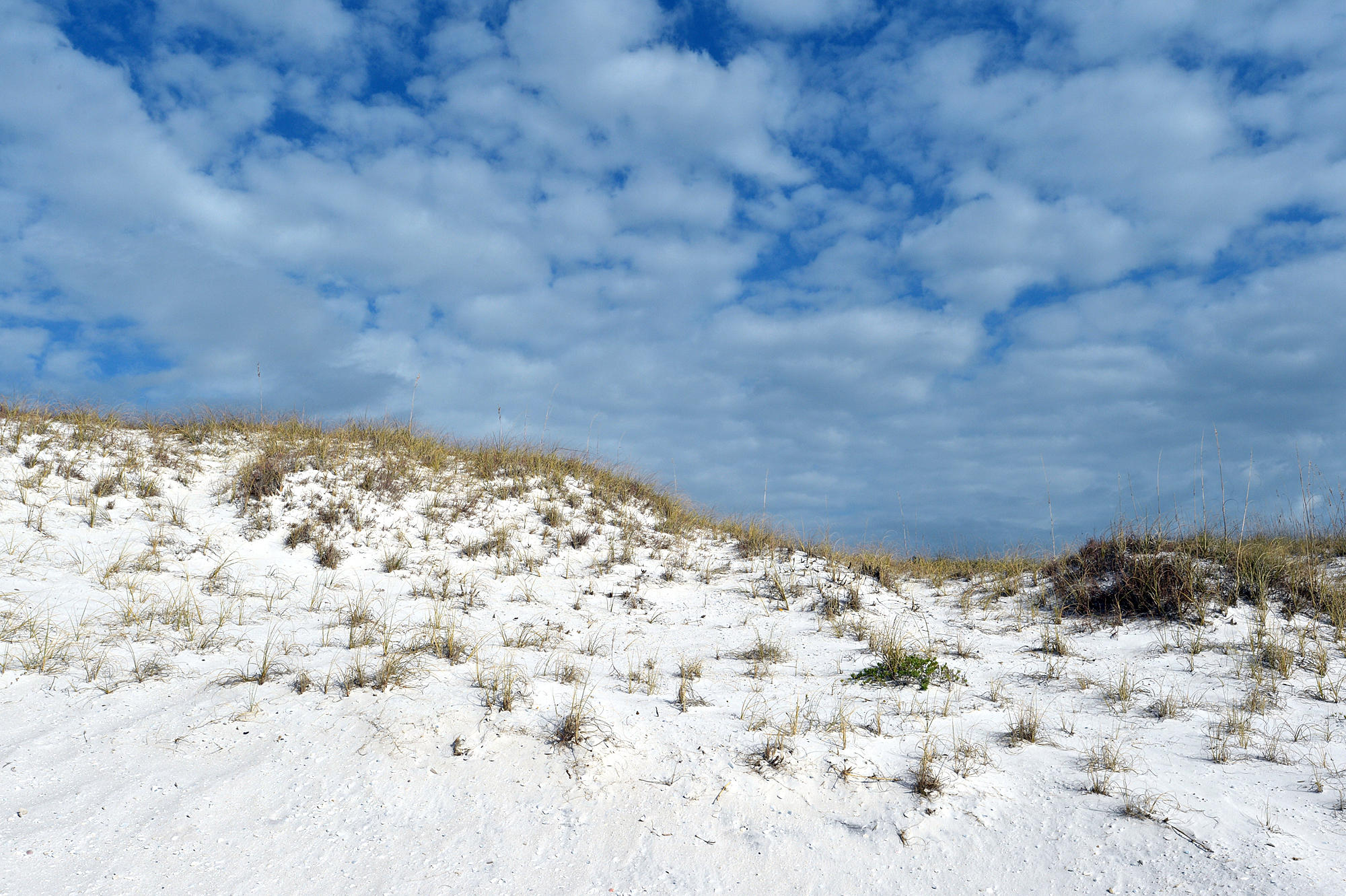 PINNACLE PORT - Residential