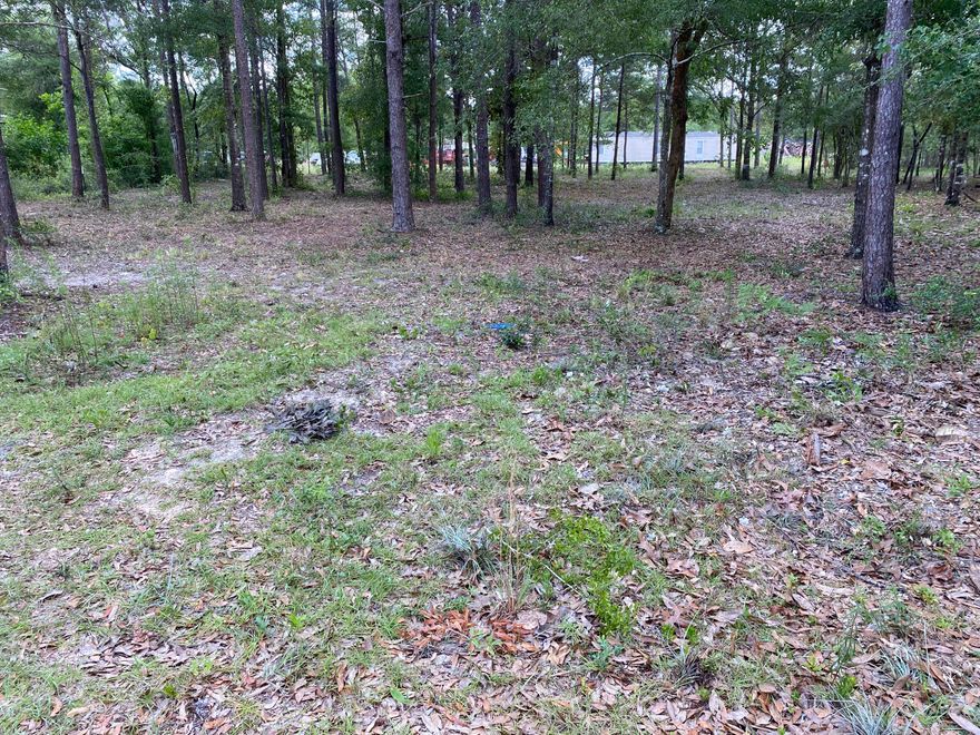Partially cleared level lot ready for your next home.  Survey is on file.  Easy show.  These type of lots don't last long.  Hurry and schedule showing.
