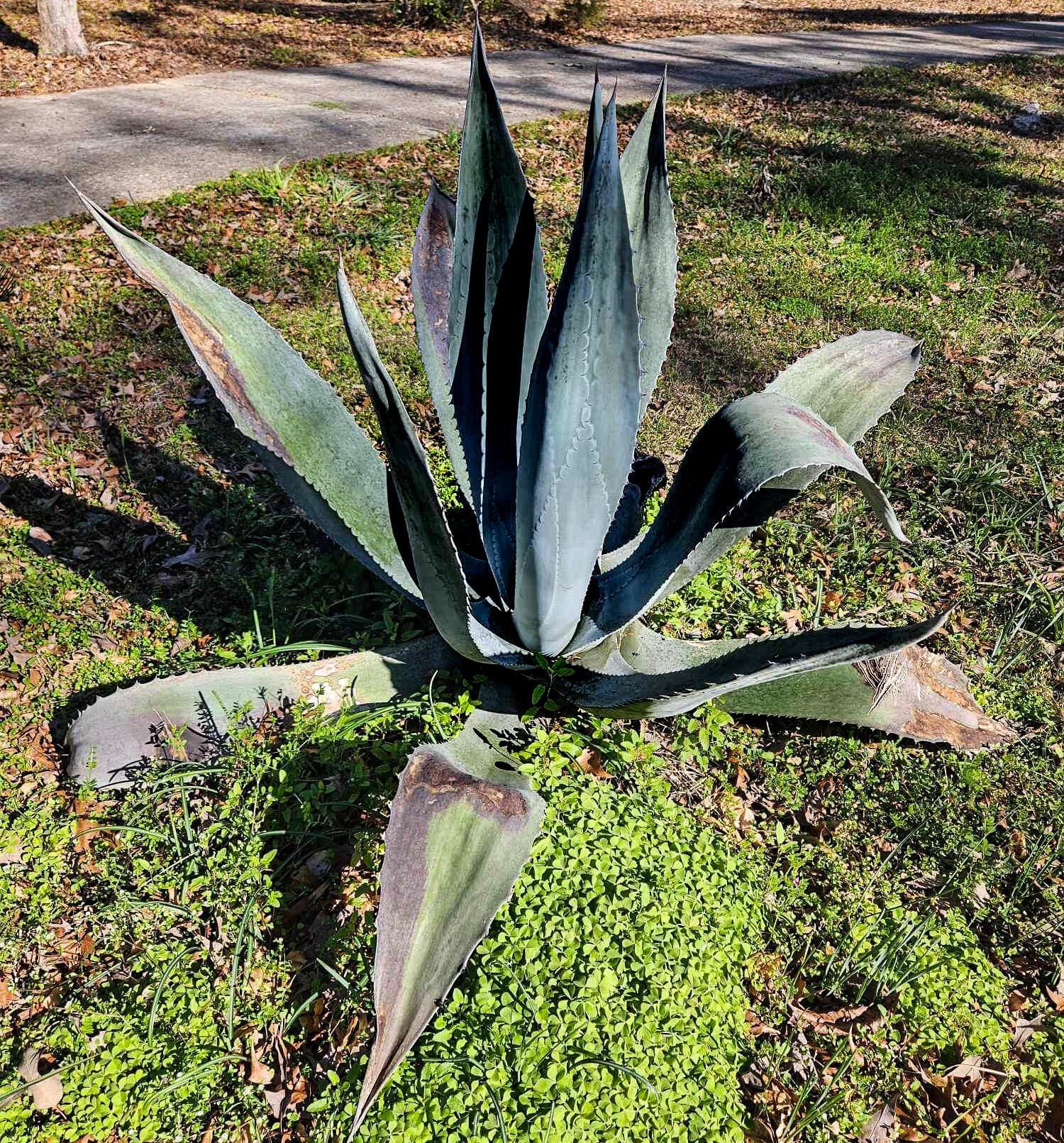 Town of Darlington PB2-64 - Residential