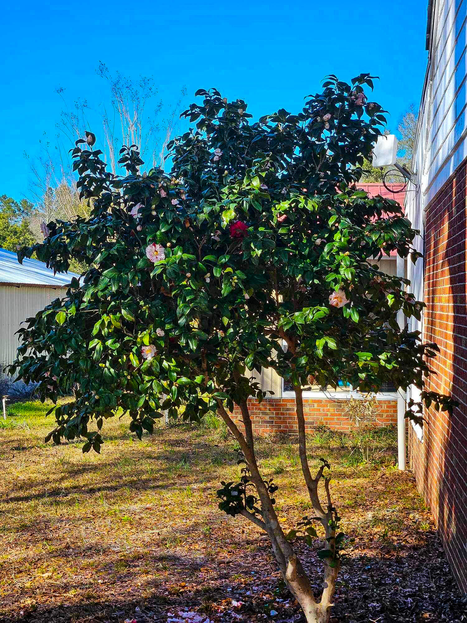 Town of Darlington PB2-64 - Residential