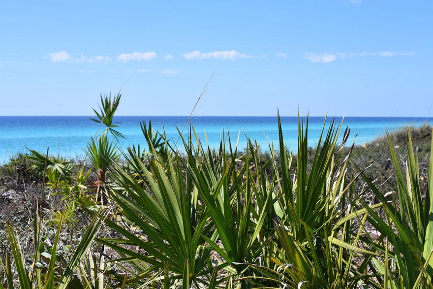 Parkside at the Henderson Beach Resort! Second floor unit with a mile and a half expansive view of the gulf of America! This luxurious 2 bedroom & 3 bath condo is perfect for the person that wants amazing sunsets views everyday! The appointments of the unit are wonderful: 10 ft. ceilings, upgraded GE Cafe' appliance package with a double oven, a double drawer dishwasher, and a high end refrigerator. Quartzite counter tops, tile thru out, wine refrigerator & a coffee bar. Two spacious bedrooms with en suite bathrooms plus an additional bunk area with its own bathroom. The open floor plan is fabulous for entertaining.  2 LG TV's, Toto toilet, & Custom draw drapery. The Henderson Beach Resort  speaks for itself! 3 large pools, Spa, 2 fitness rooms, ballrooms, meeting areas, & restaurants. Once you arrive....You will never have to leave the resort! Convenience is key! The beach is just steps away, as well as shopping , and family fun! Enjoy making memories at your new beach home! 